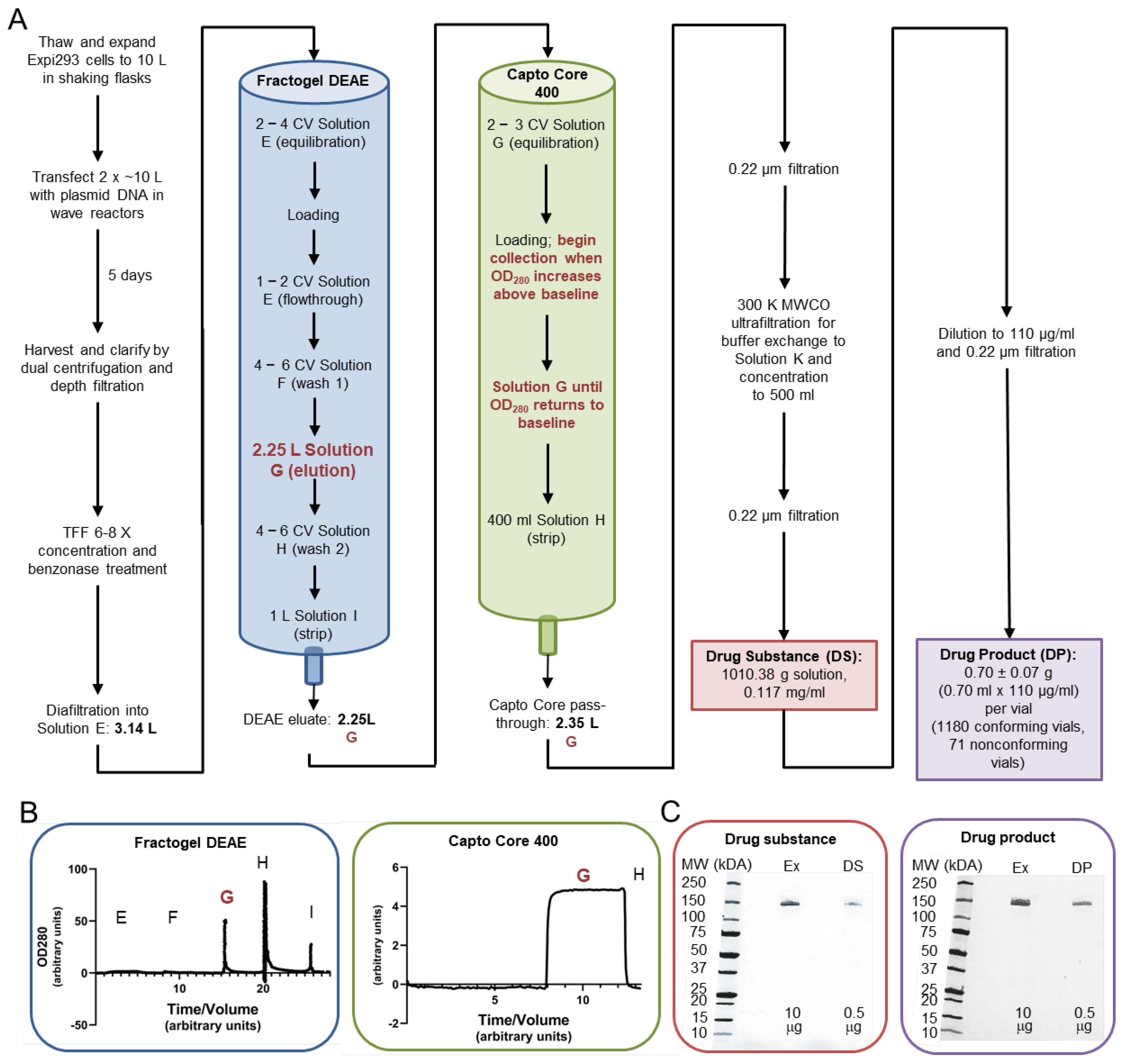 Vaccines 13 01041 g002 Vaccines 13 01041 g002