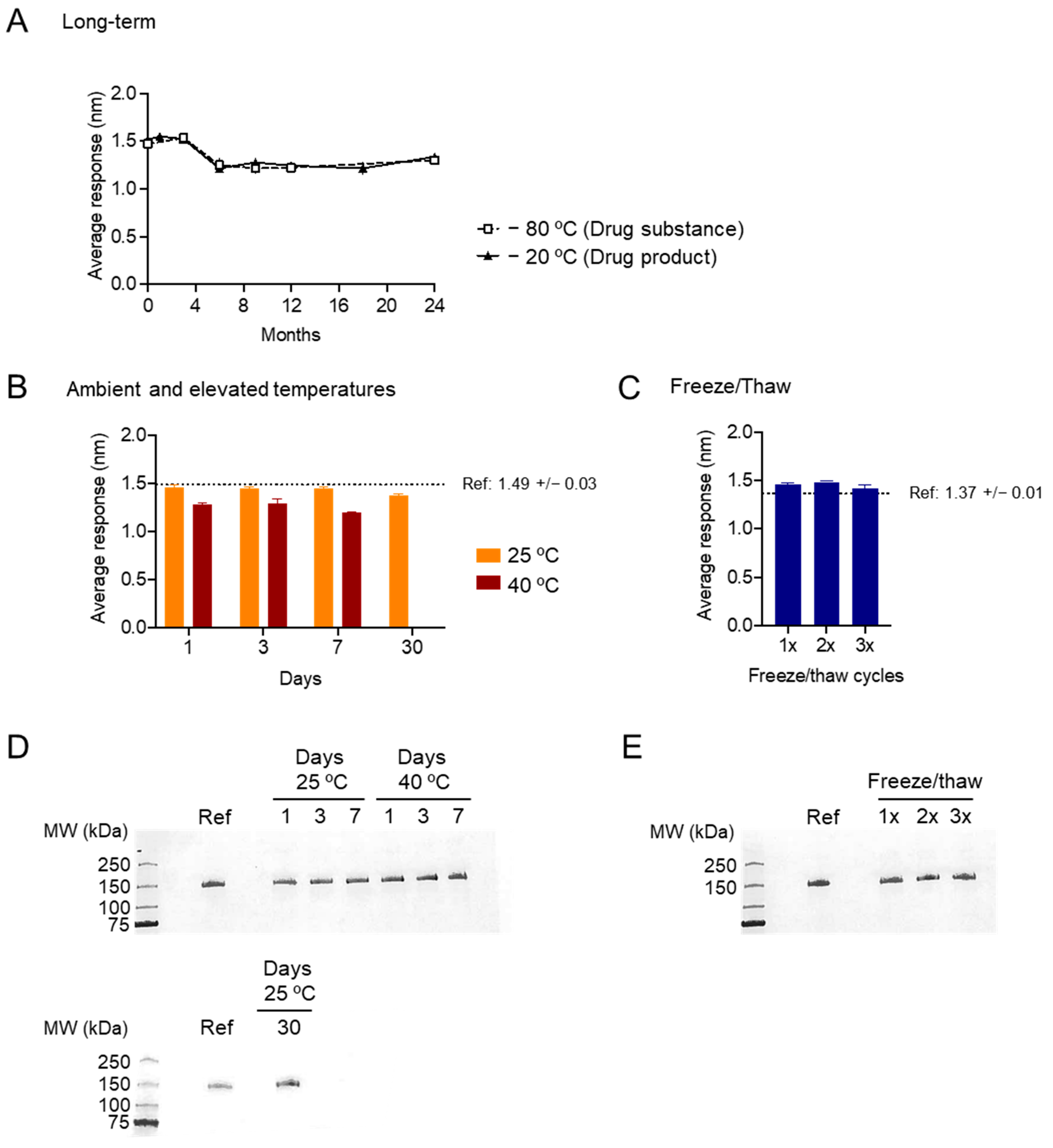 Vaccines 13 01041 g004 Vaccines 13 01041 g004