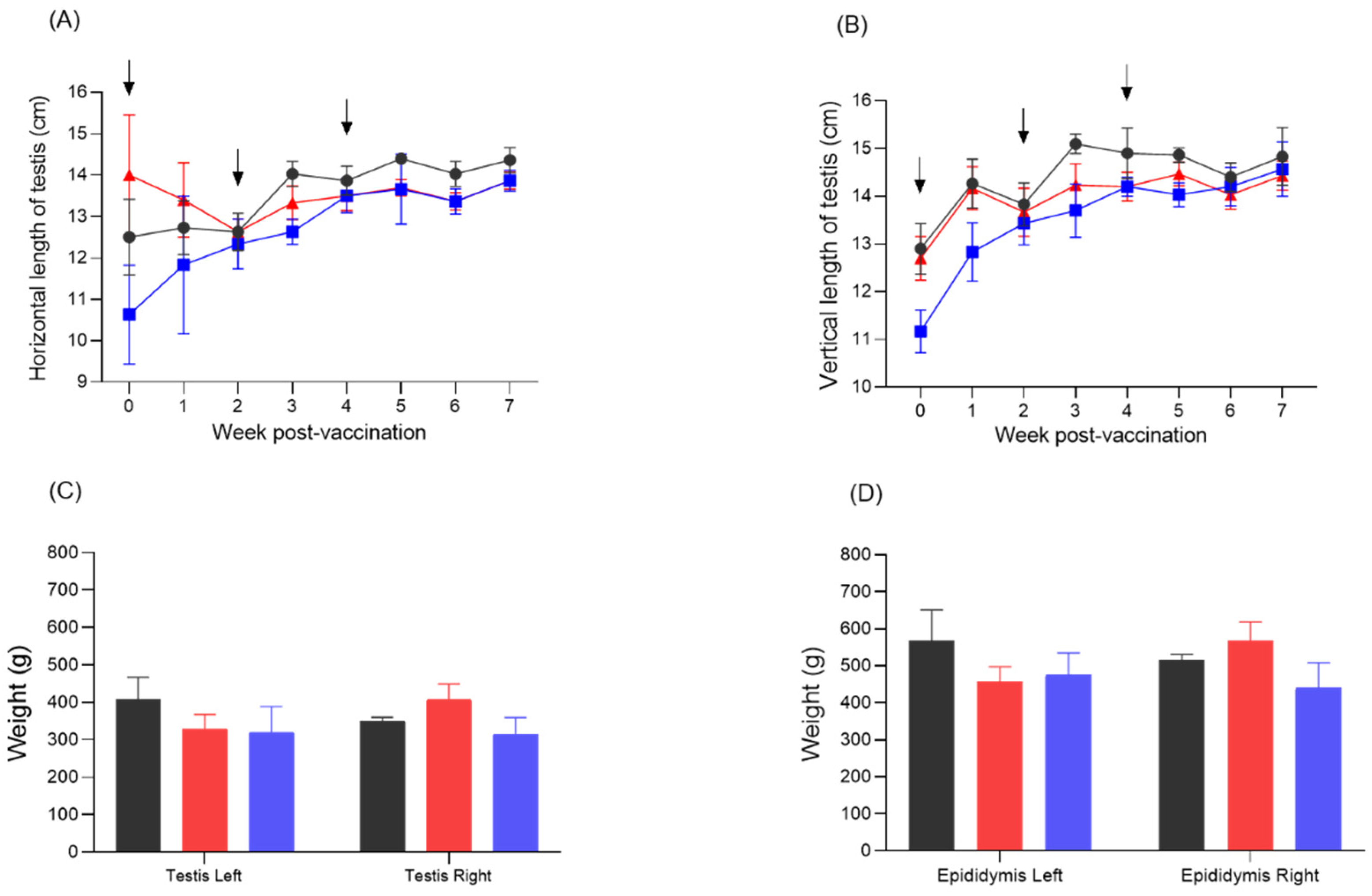 Vaccines 13 01048 g005 Vaccines 13 01048 g005