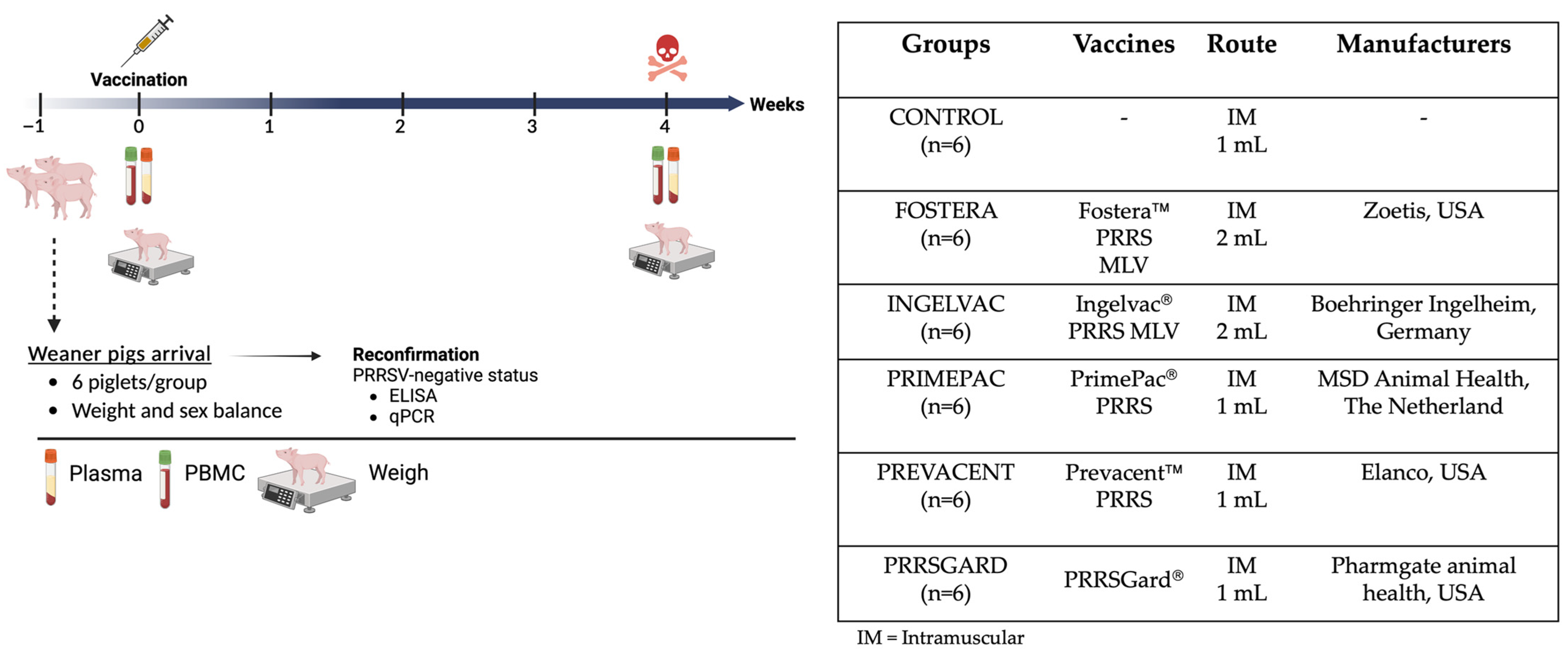 Vaccines 13 01052 g001