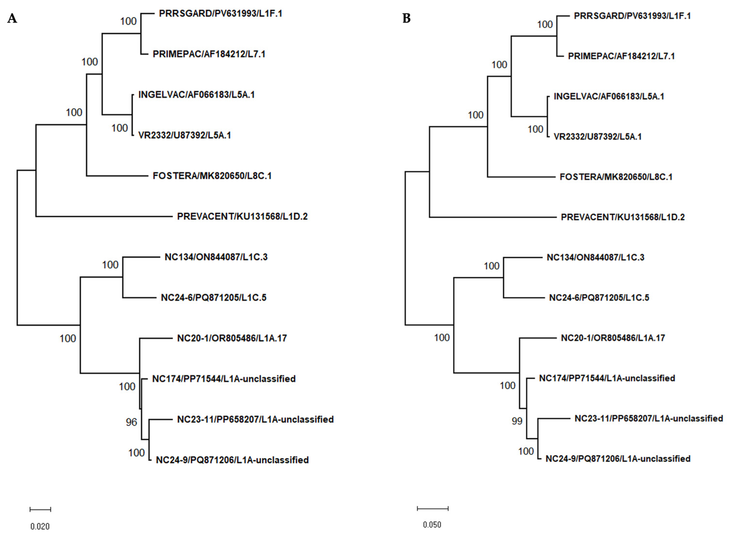 Vaccines 13 01052 g002