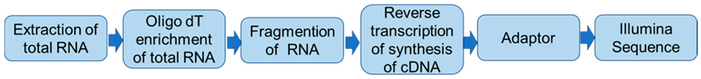 Vaccines 13 01053 sch001
