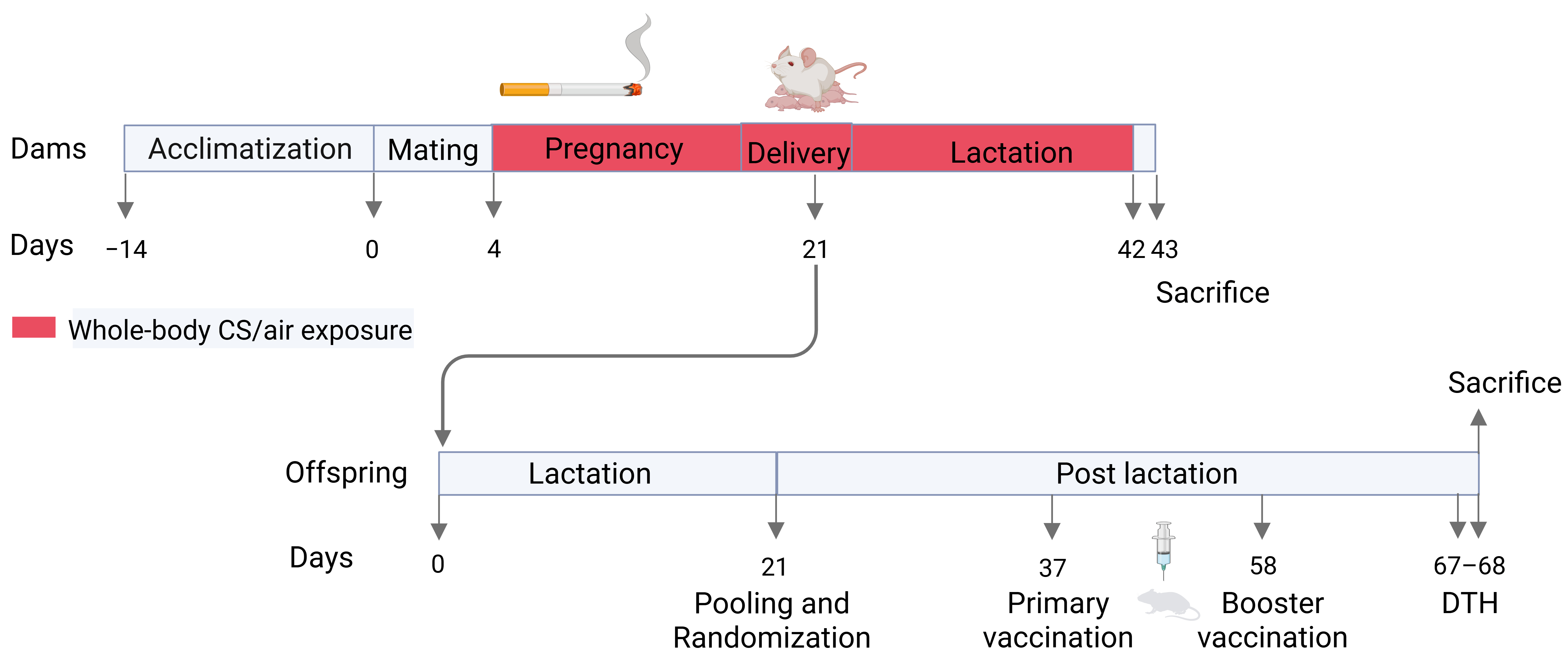 Vaccines 13 01058 g001