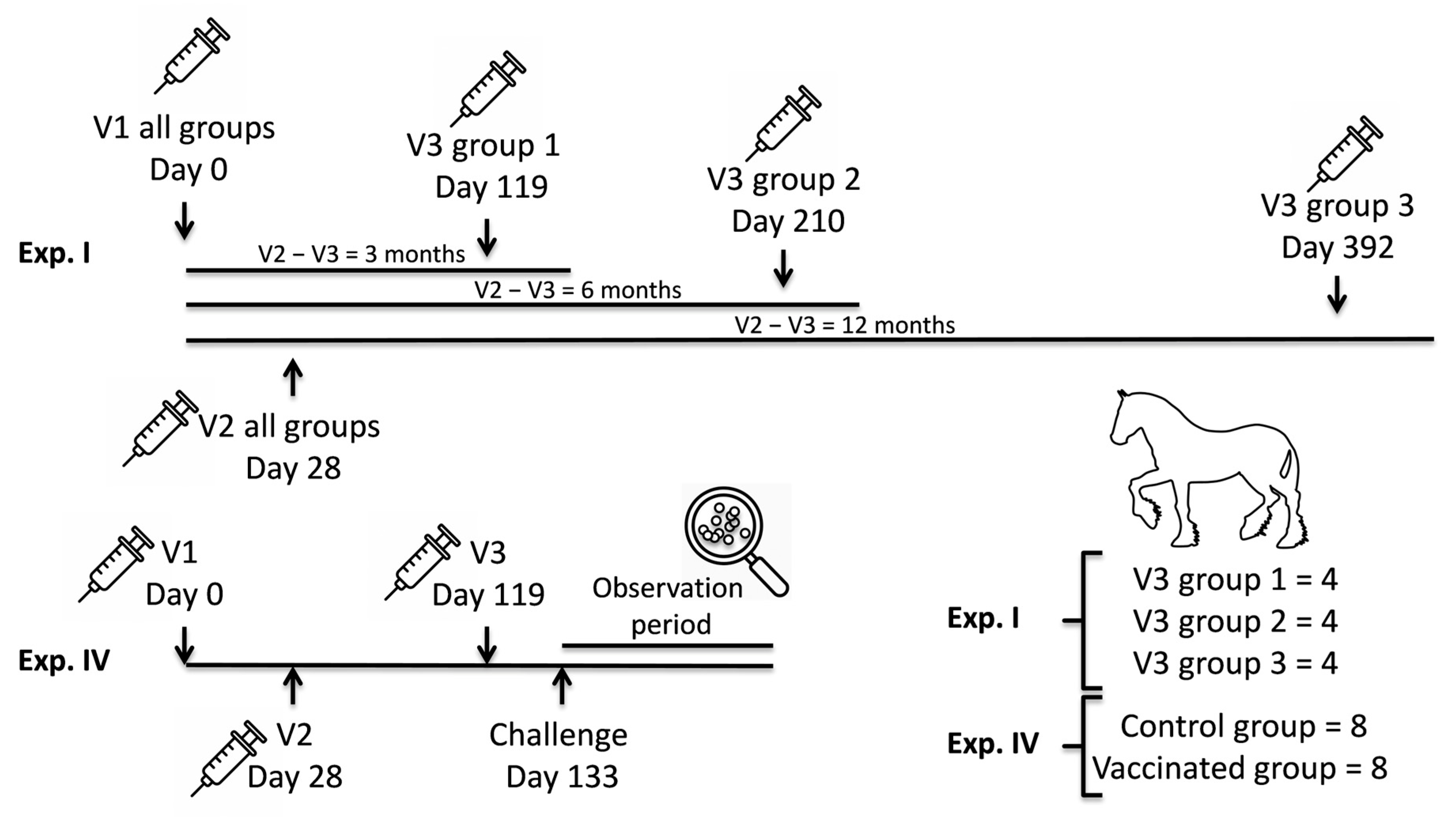 Vaccines 13 01061 g001