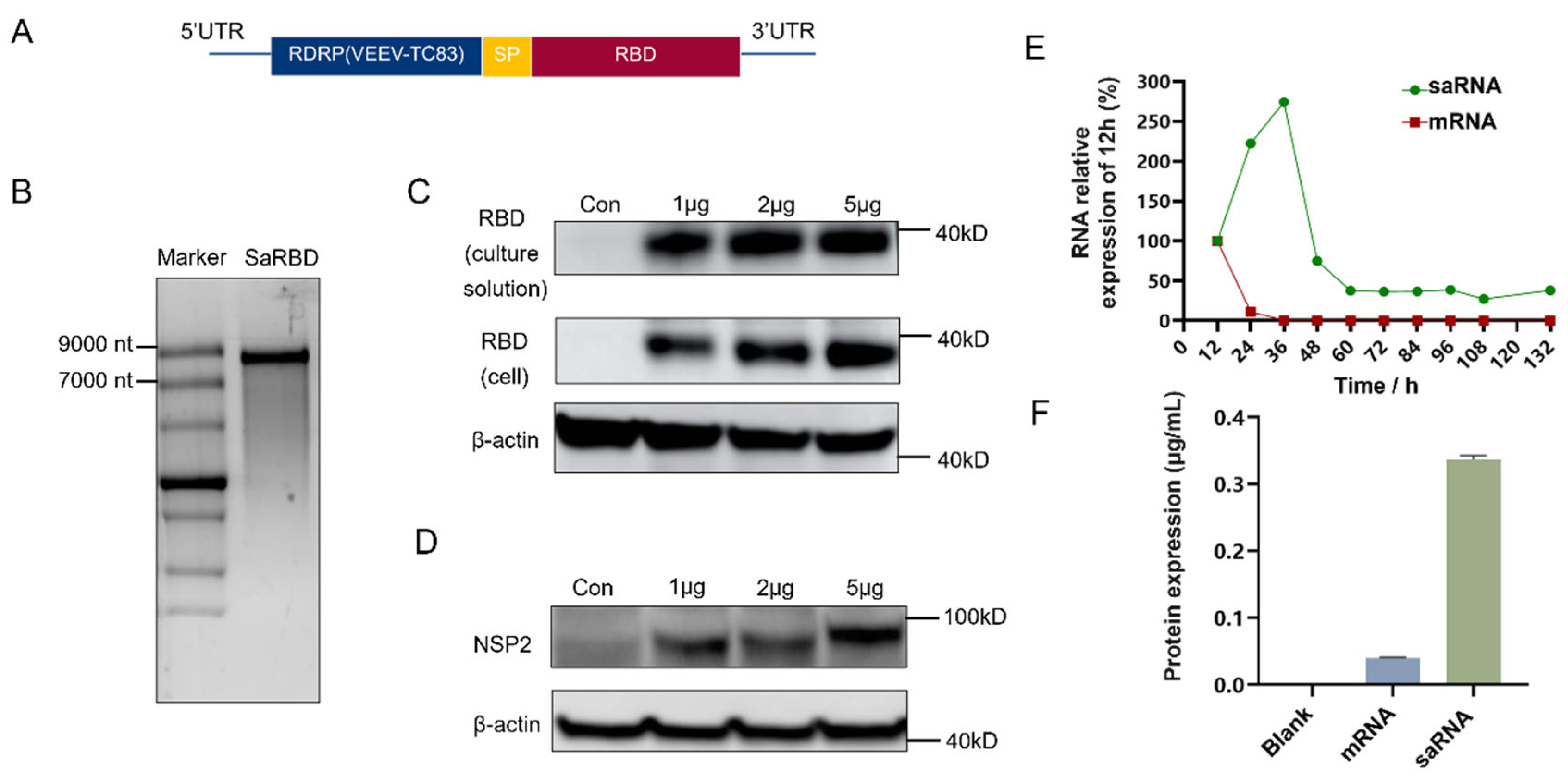Vaccines 13 01062 g001