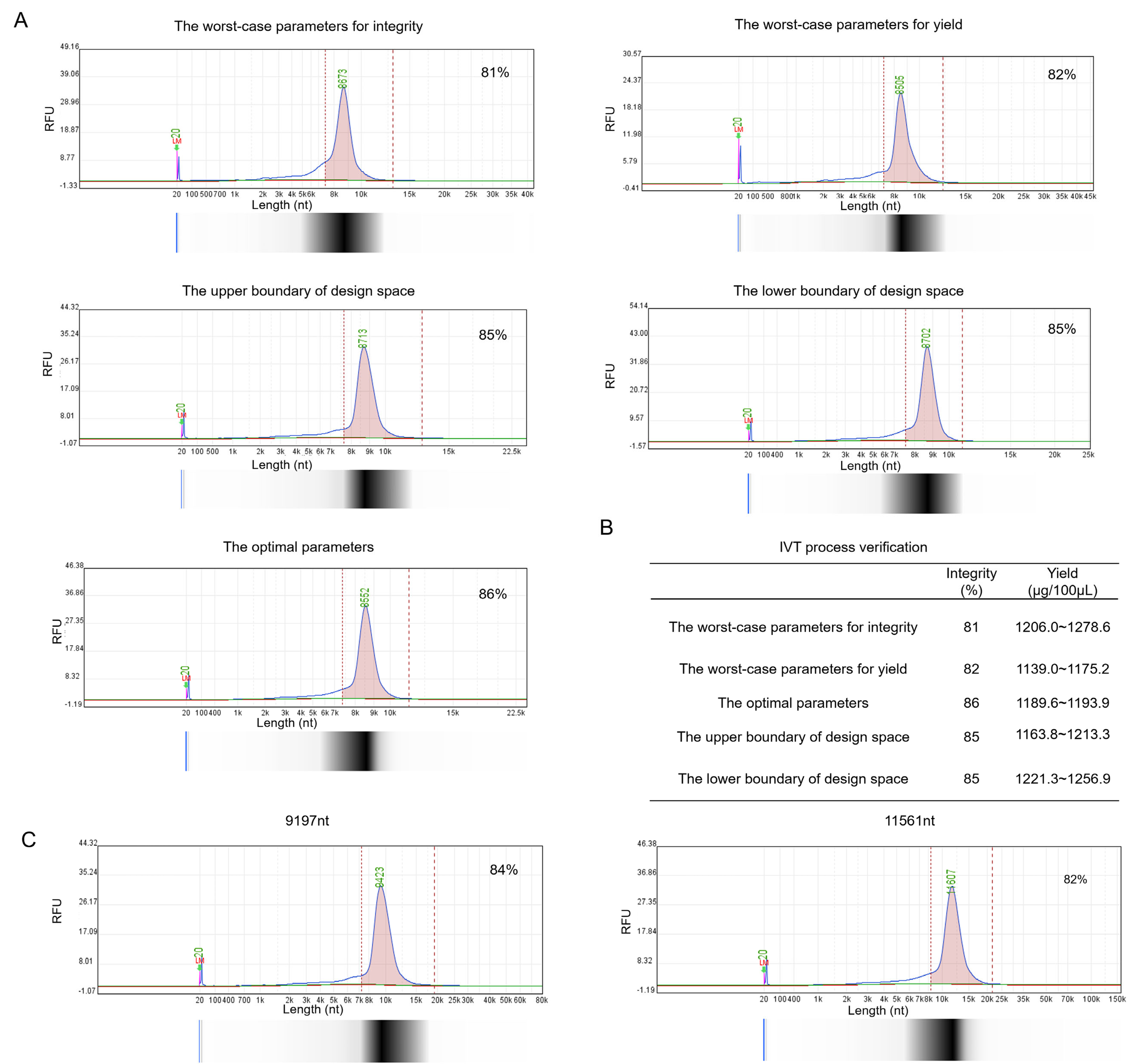 Vaccines 13 01062 g004