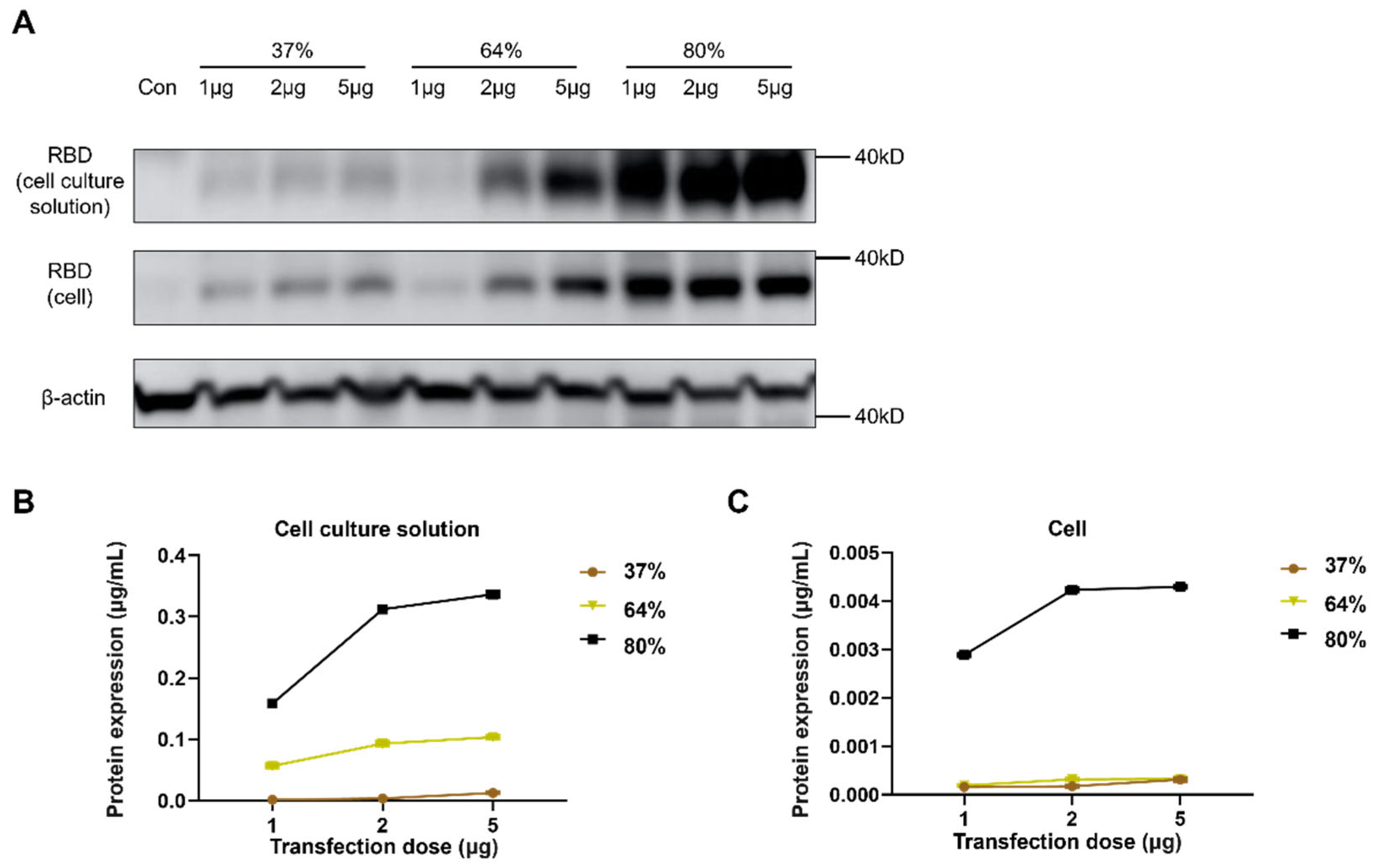 Vaccines 13 01062 g005