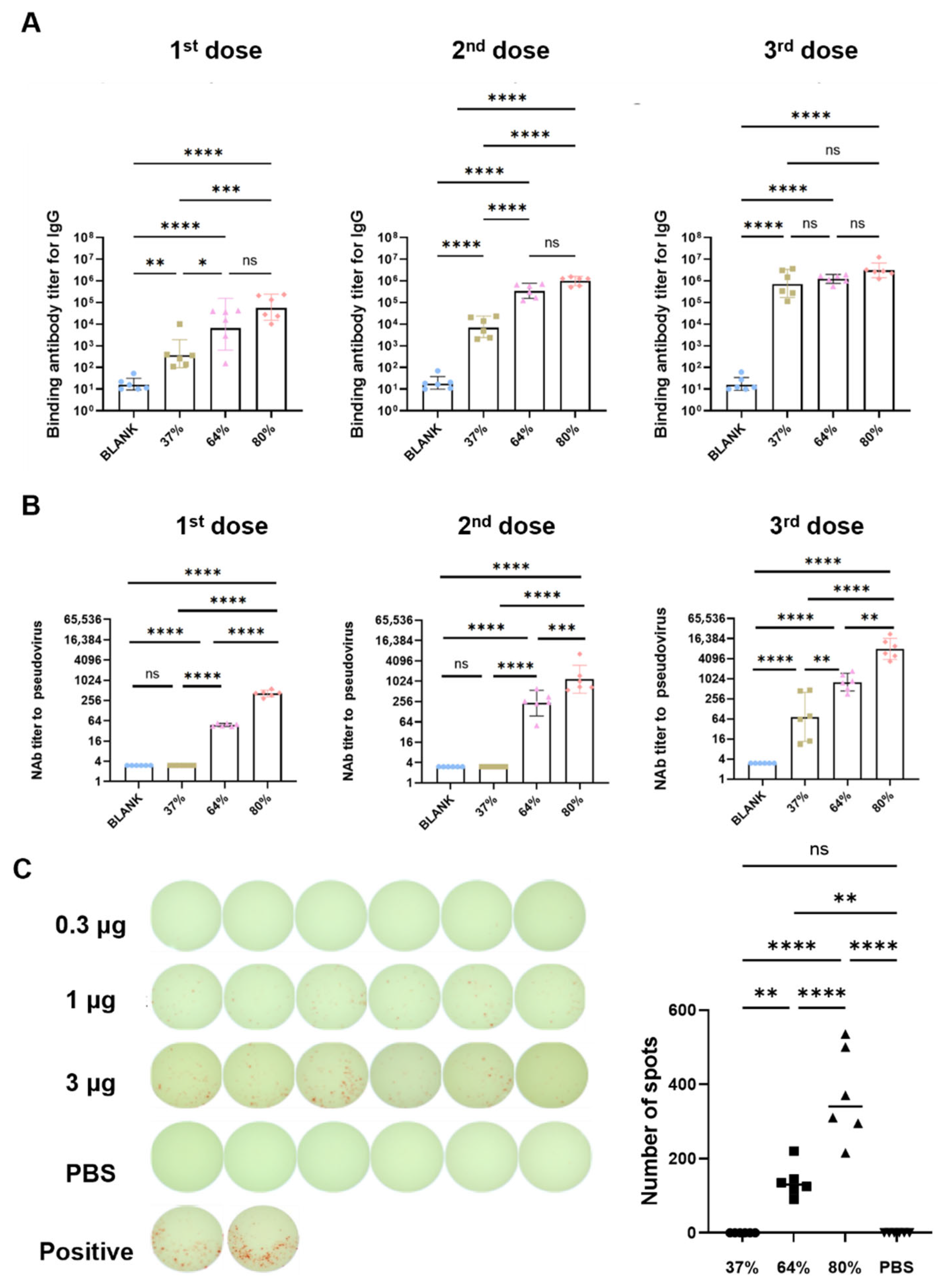 Vaccines 13 01062 g006