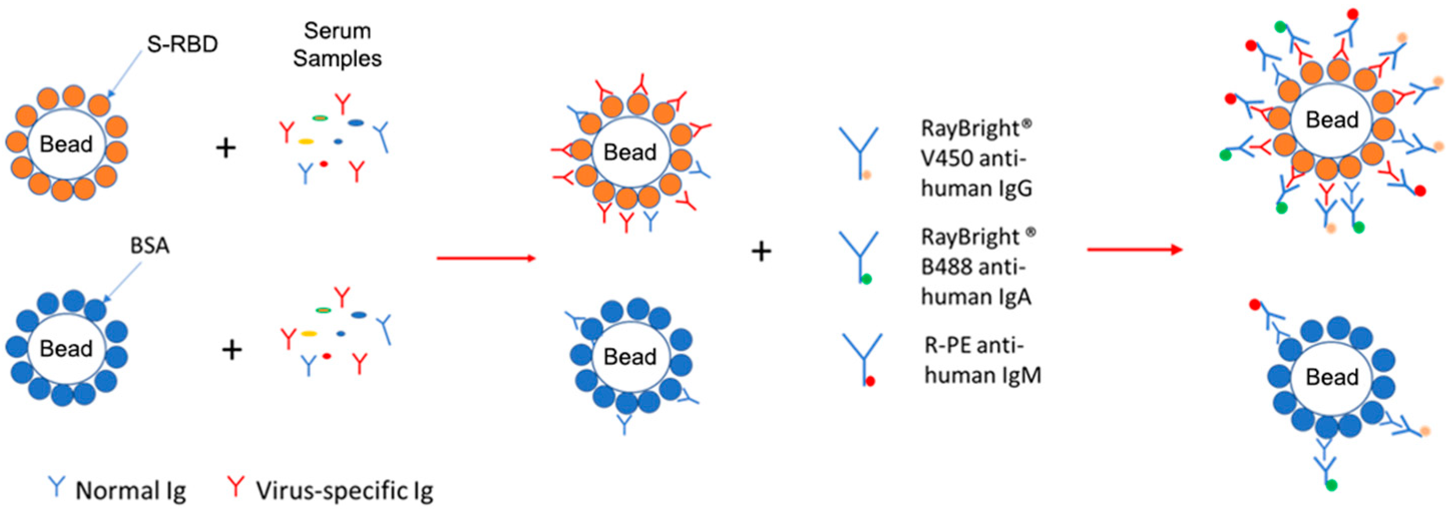 Vaccines 13 01063 g001 Vaccines 13 01063 g001