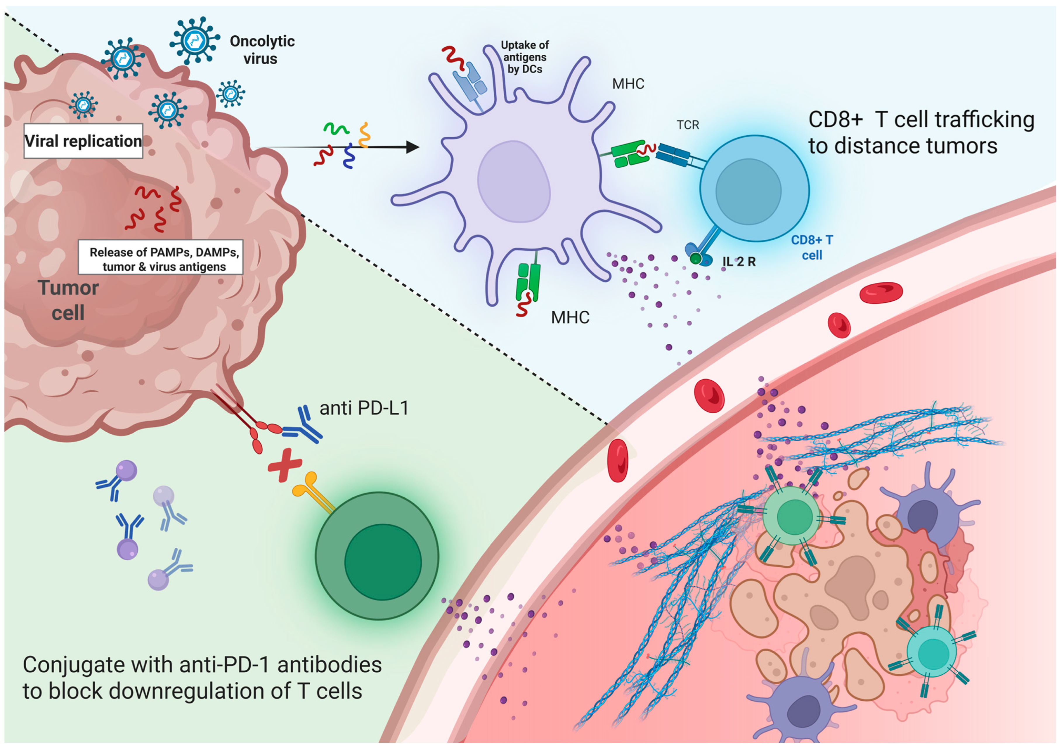 Vaccines 13 01070 g003