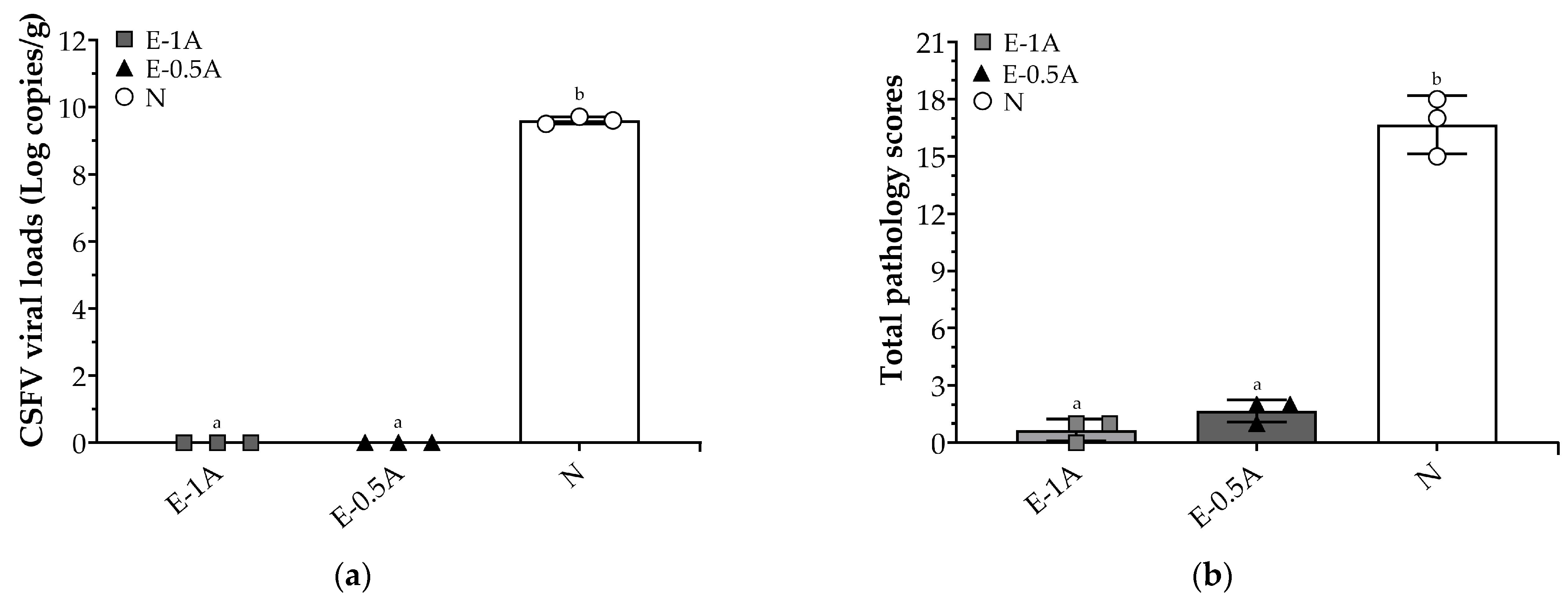 Vaccines 13 01072 g004