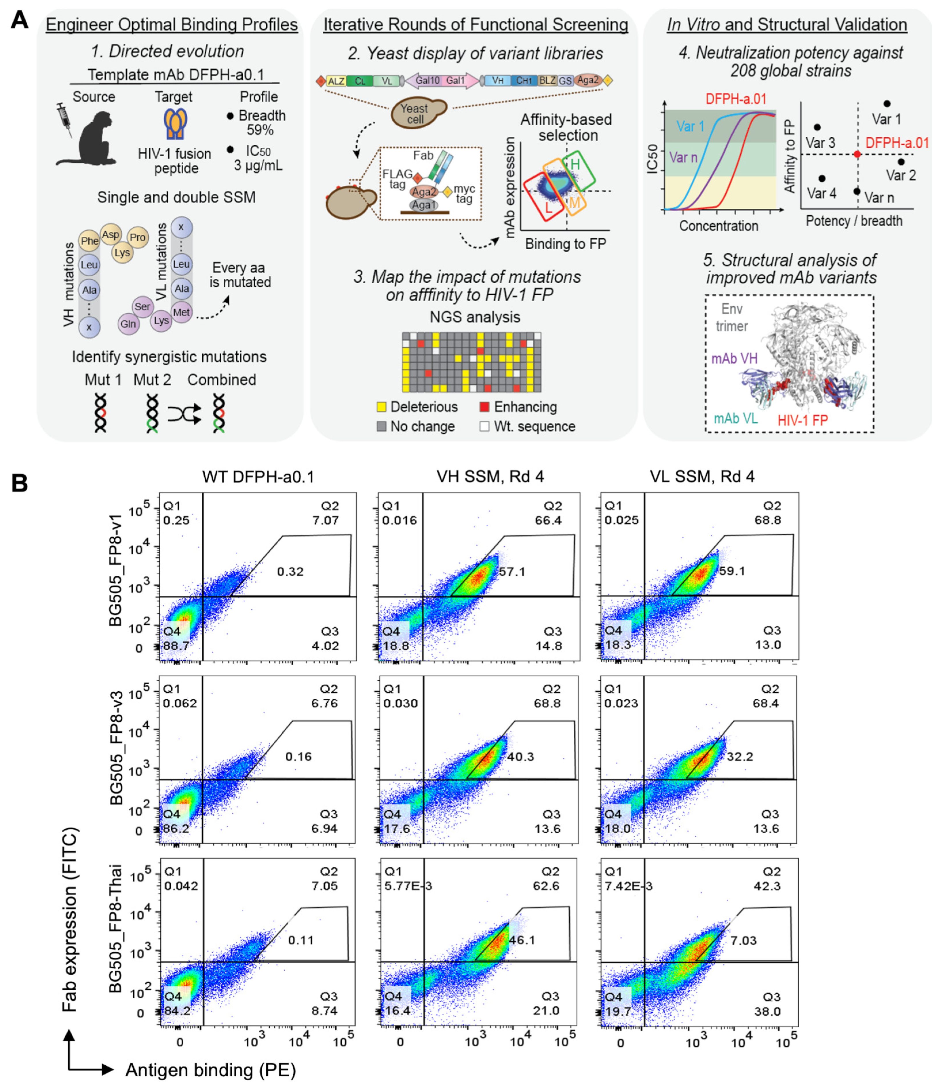 Vaccines 13 01098 g001 Vaccines 13 01098 g001