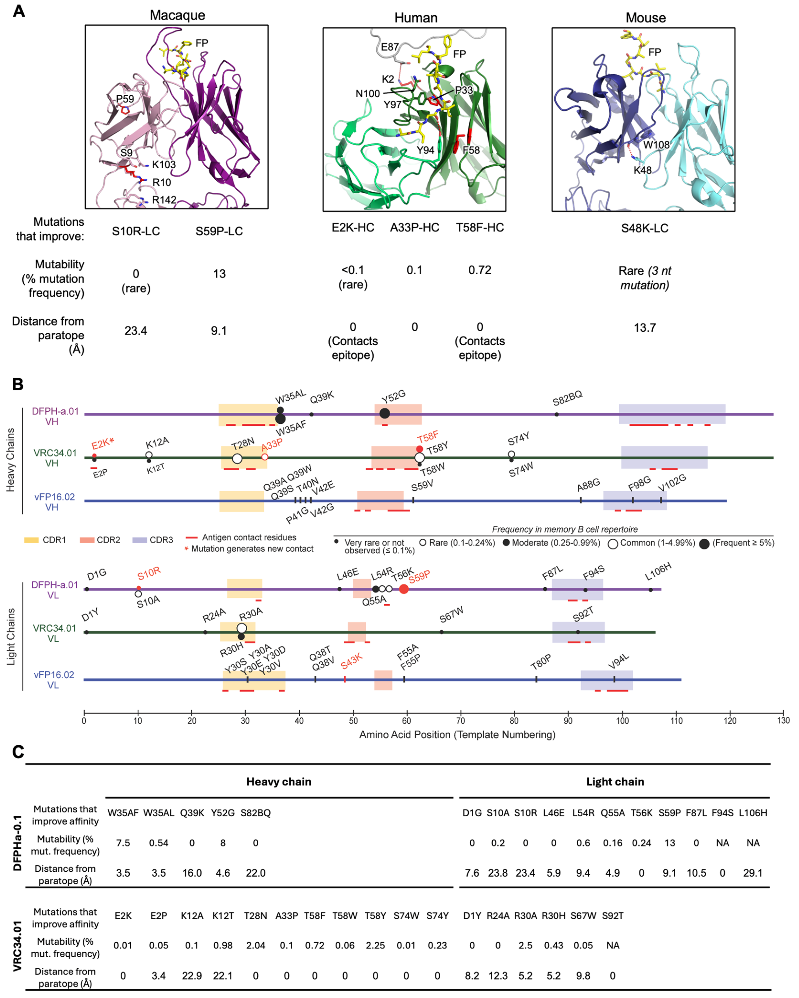 Vaccines 13 01098 g008 Vaccines 13 01098 g008