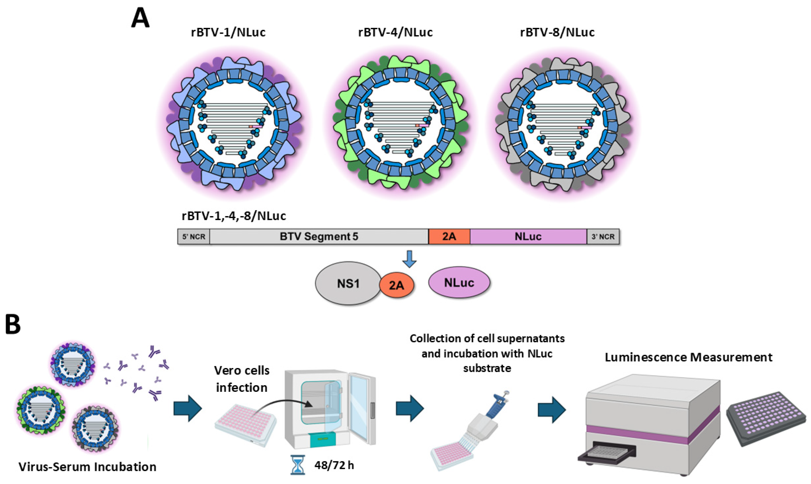 Vaccines 13 01102 g001 Vaccines 13 01102 g001