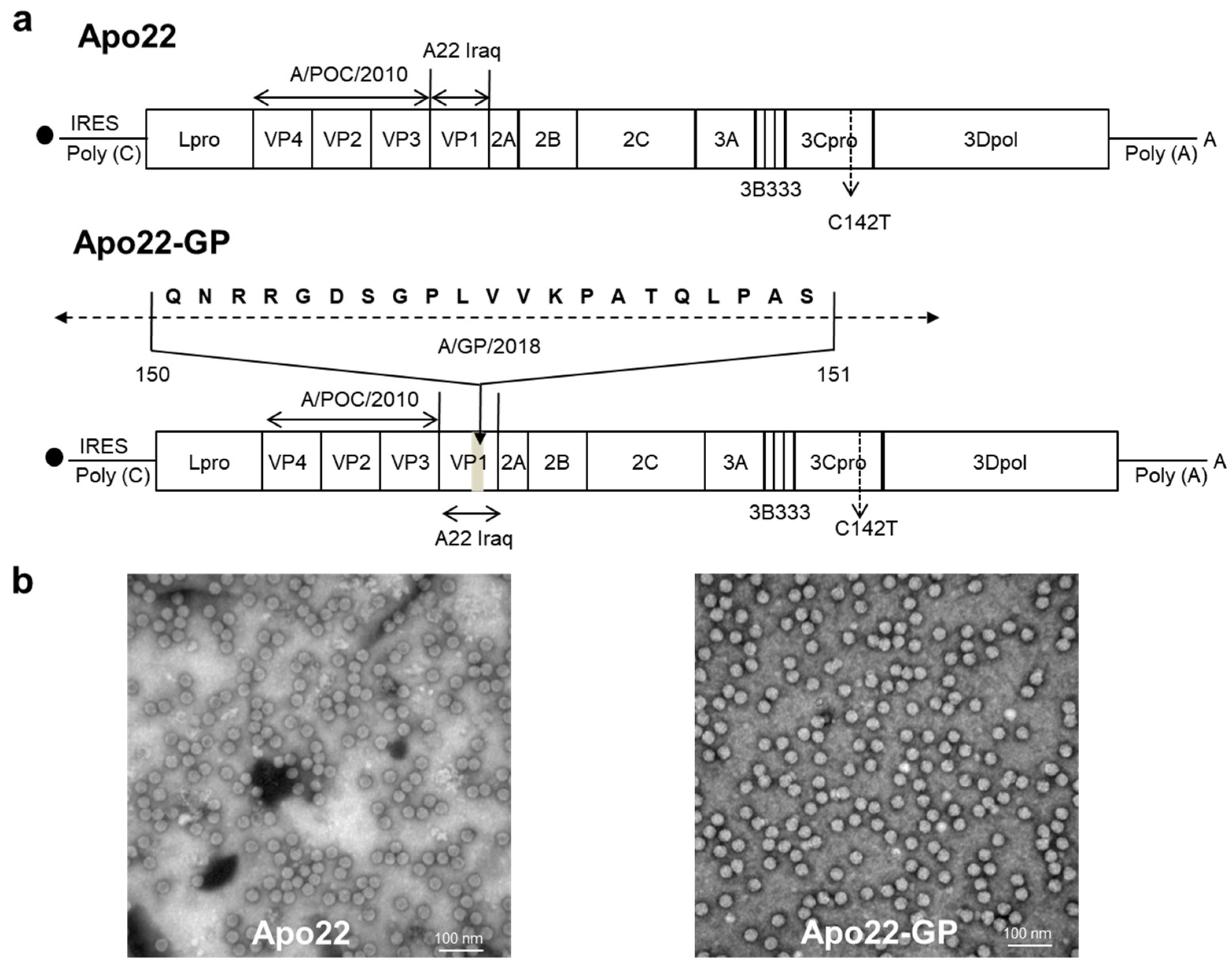 Vaccines 13 01104 g002