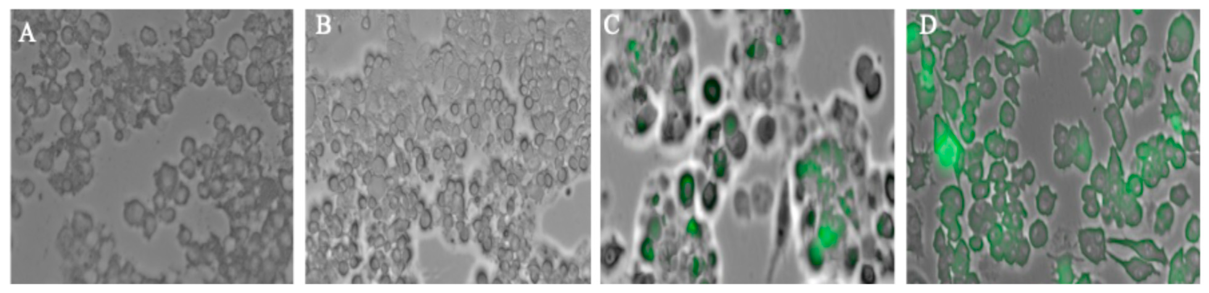 Vaccines 13 01105 g001