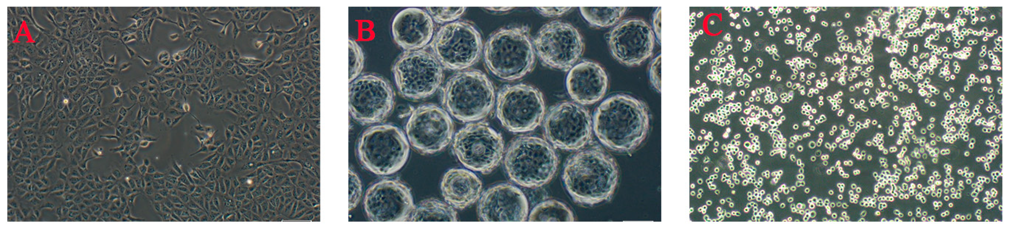 Vaccines 13 01109 g001