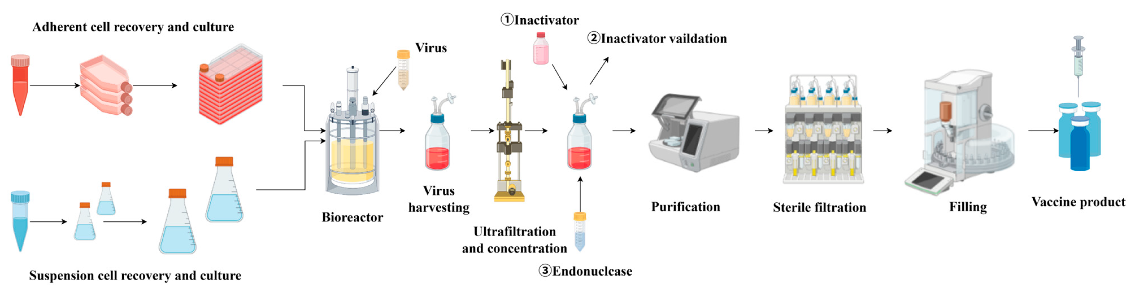 Vaccines 13 01109 g004