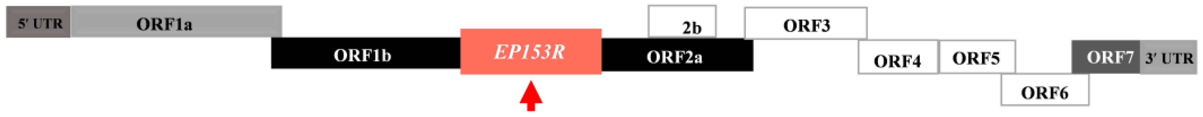 Vaccines 13 01110 g001