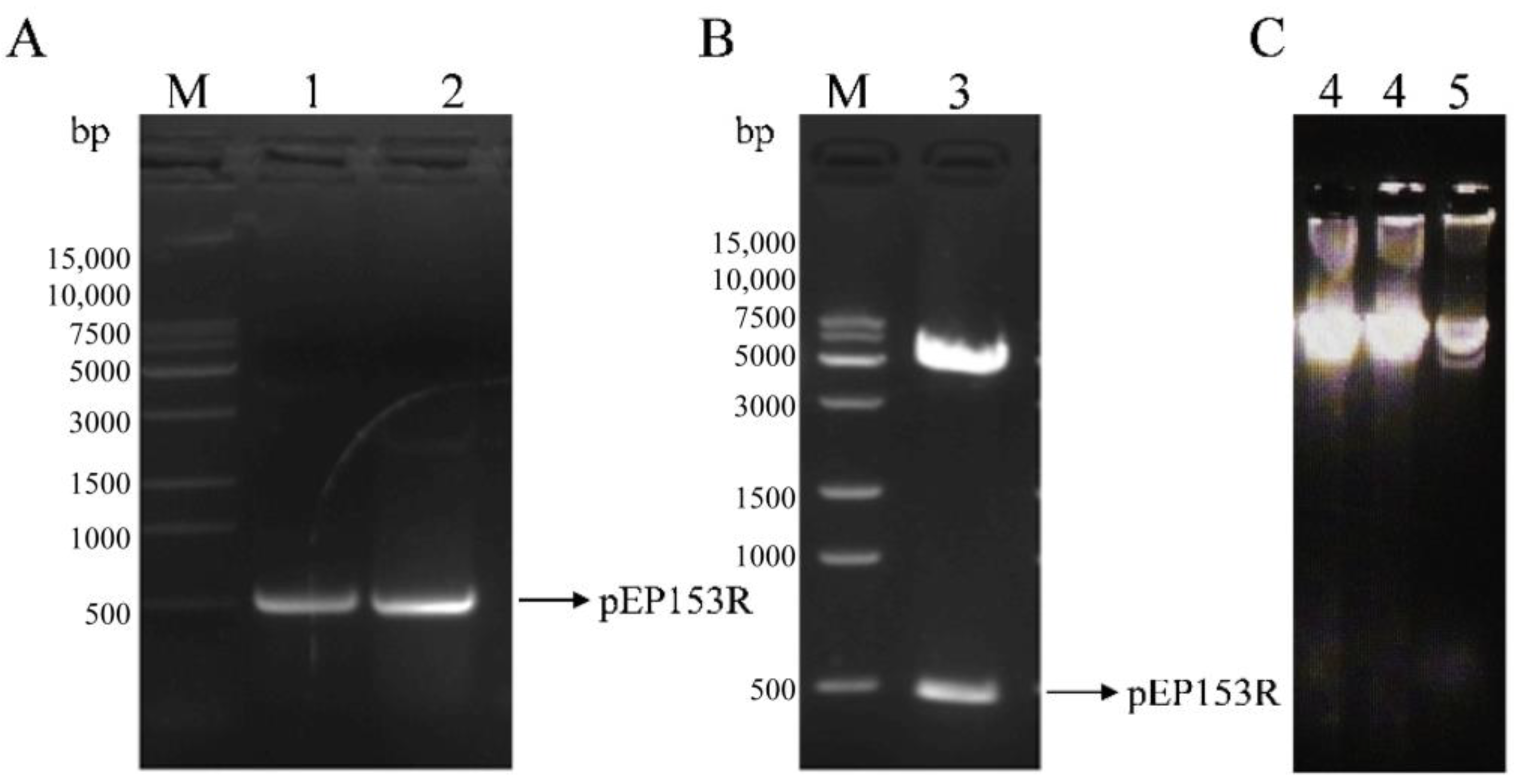 Vaccines 13 01110 g003