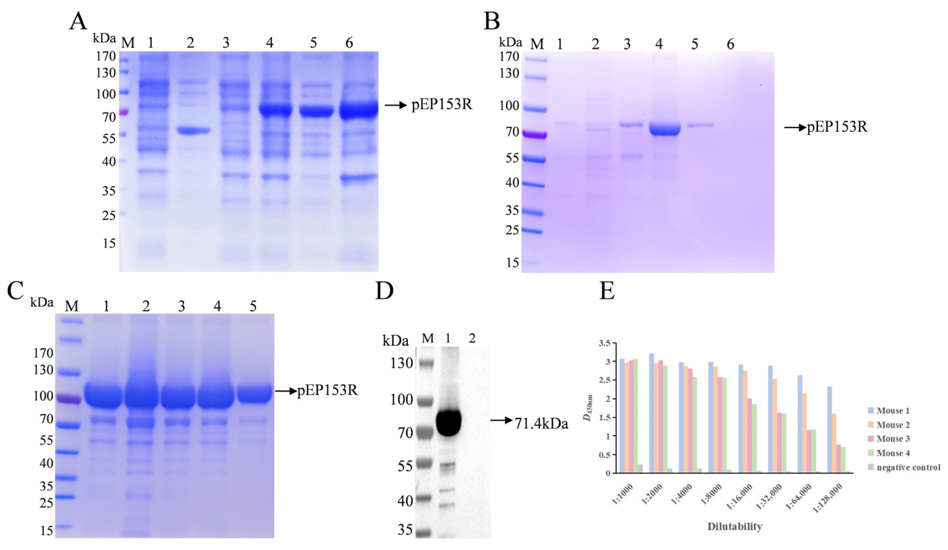 Vaccines 13 01110 g004