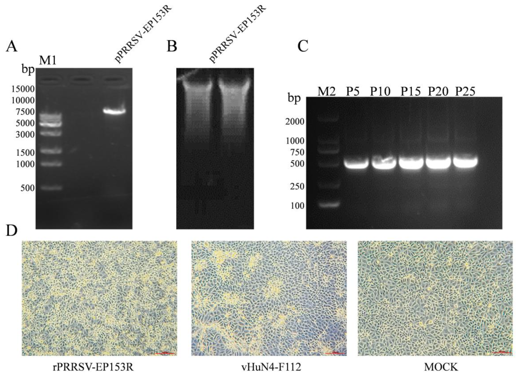 Vaccines 13 01110 g007