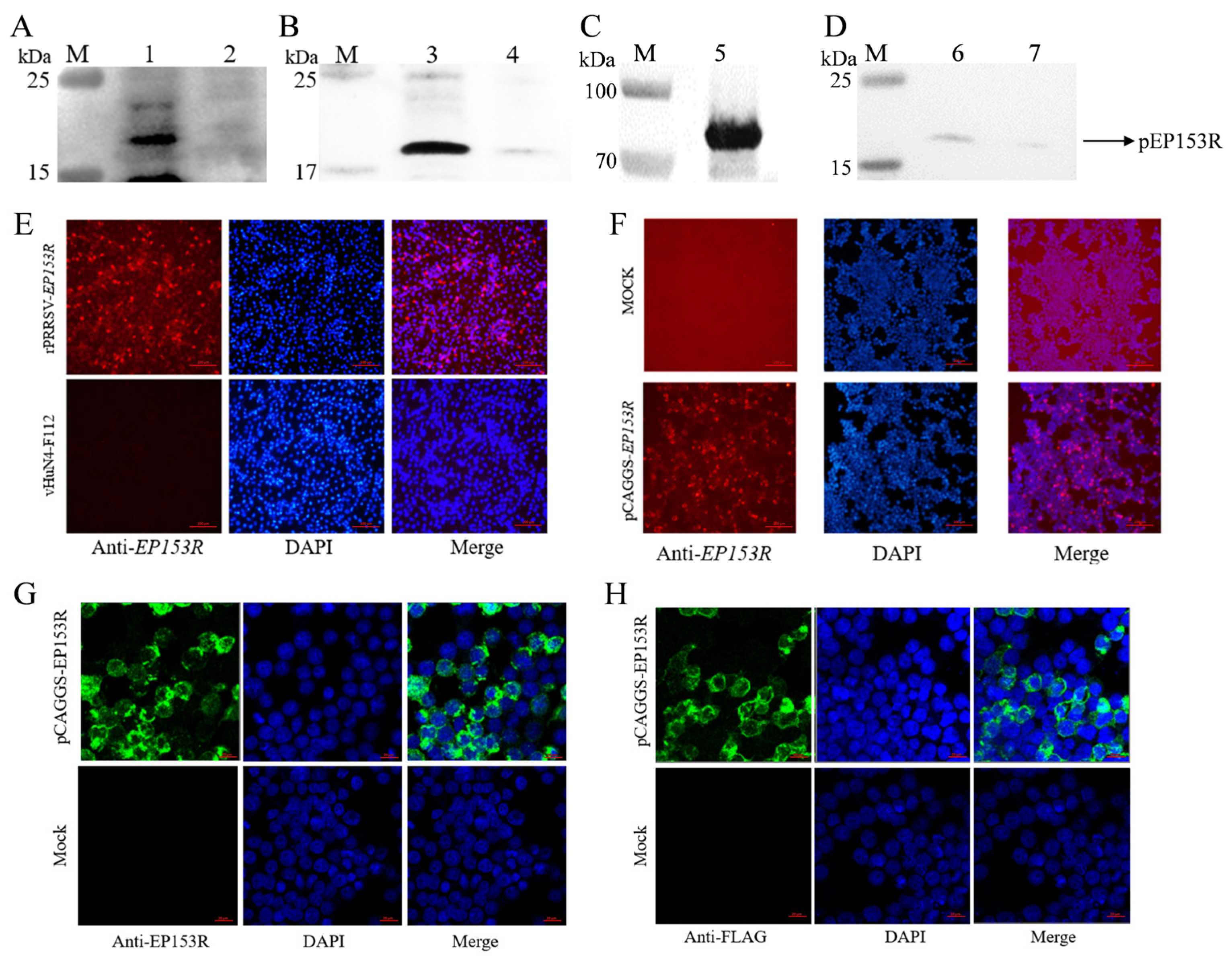 Vaccines 13 01110 g009