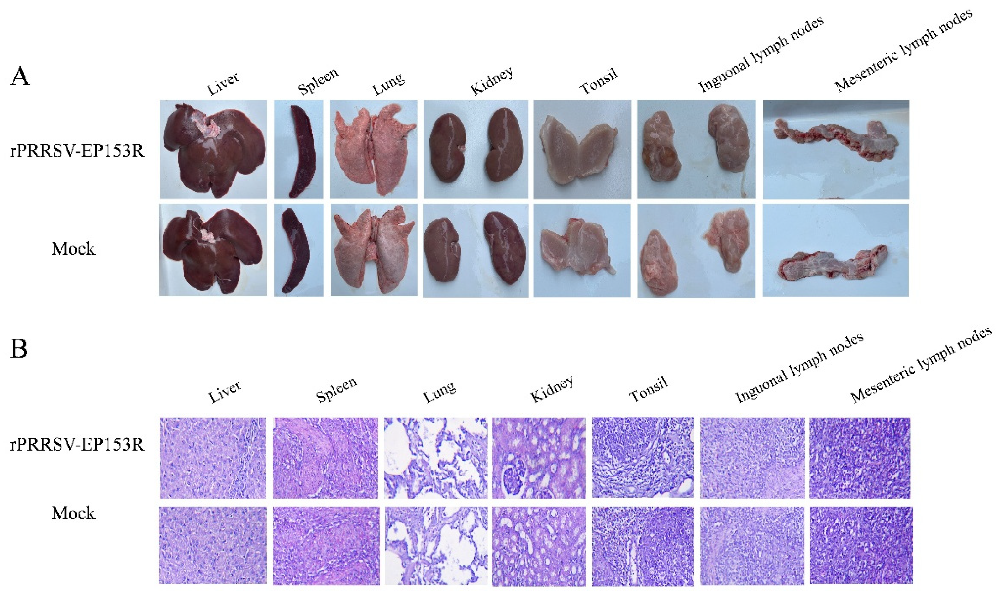 Vaccines 13 01110 g010a