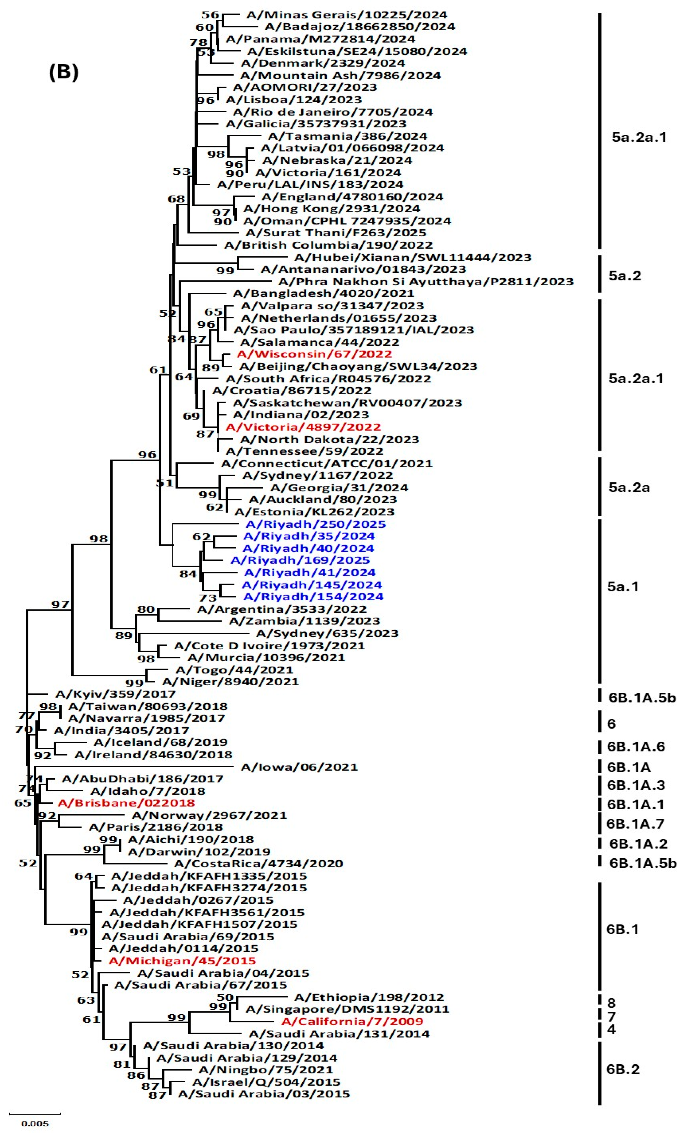 Vaccines 13 01111 g003b Vaccines 13 01111 g003b