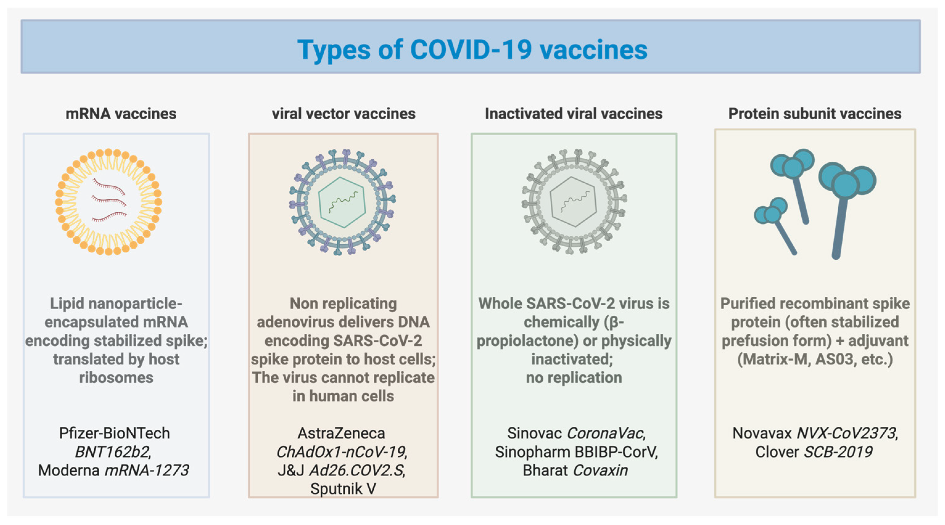 Vaccines 13 01112 g001 Vaccines 13 01112 g001
