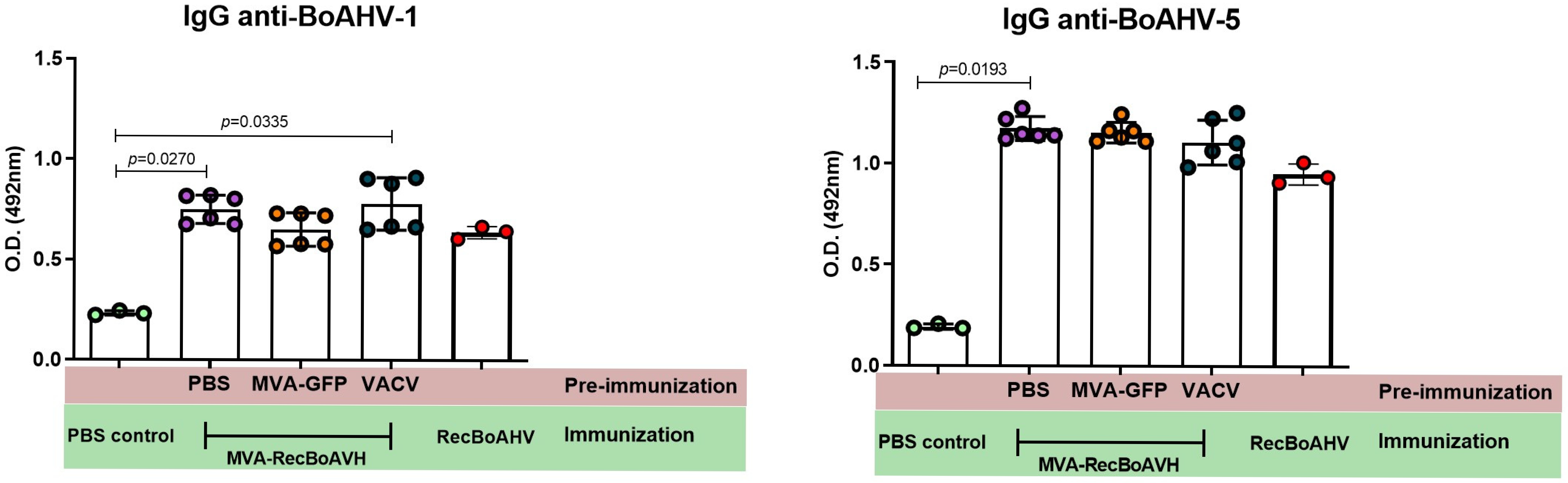 Vaccines 13 01115 g004 Vaccines 13 01115 g004