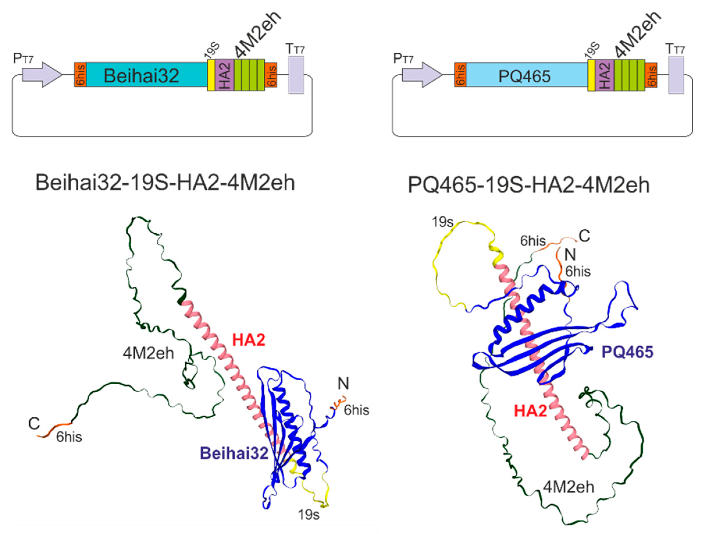 Vaccines 13 01117 g003 Vaccines 13 01117 g003