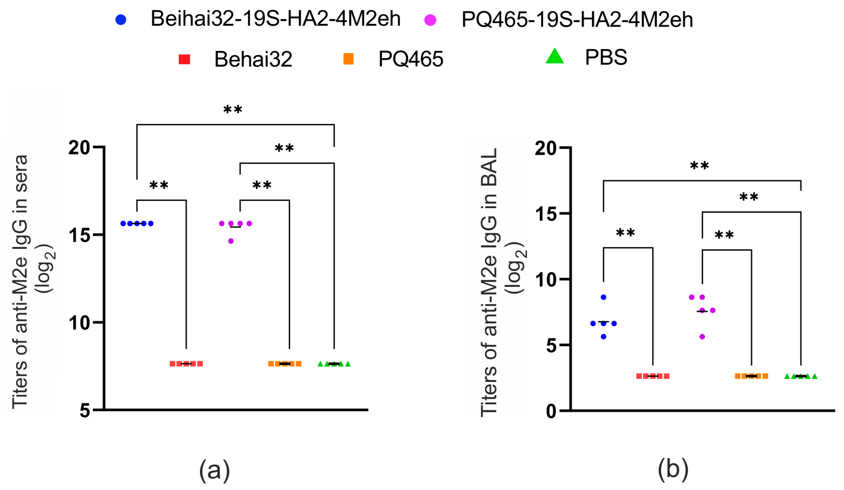 Vaccines 13 01117 g008 Vaccines 13 01117 g008