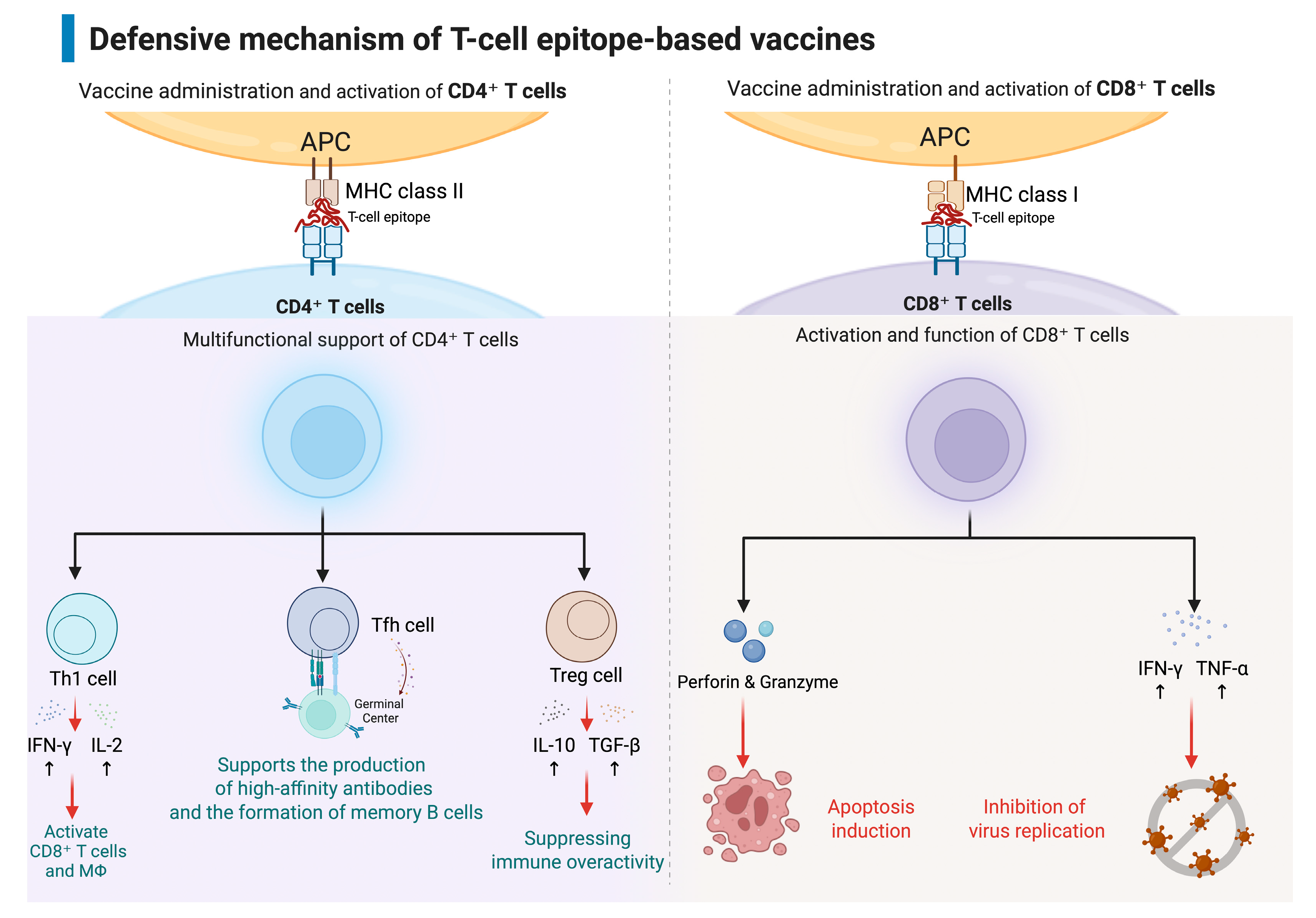 Vaccines 13 01118 g001
