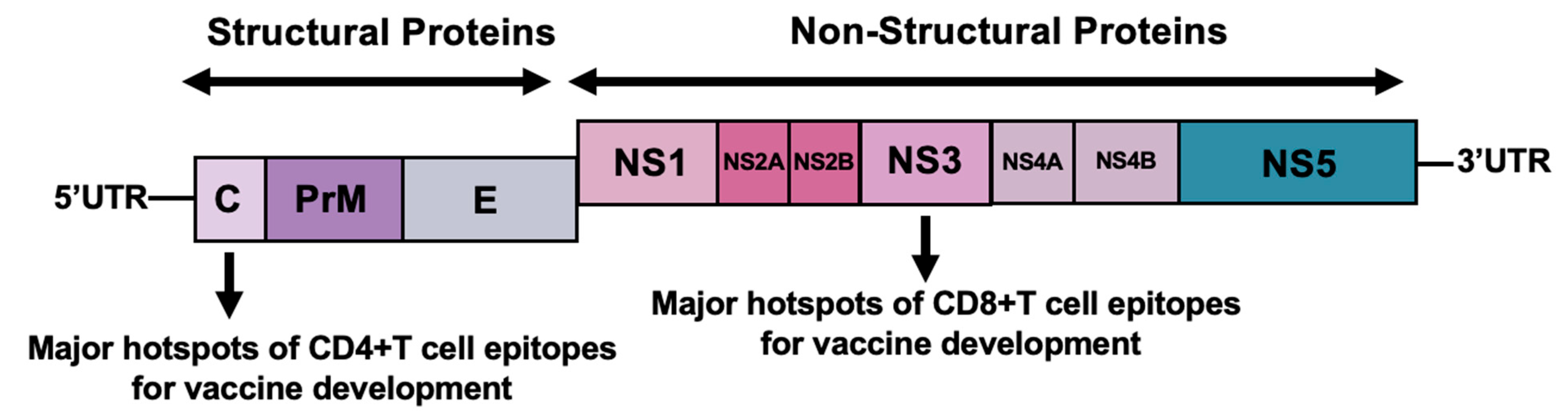 Vaccines 13 01118 g002