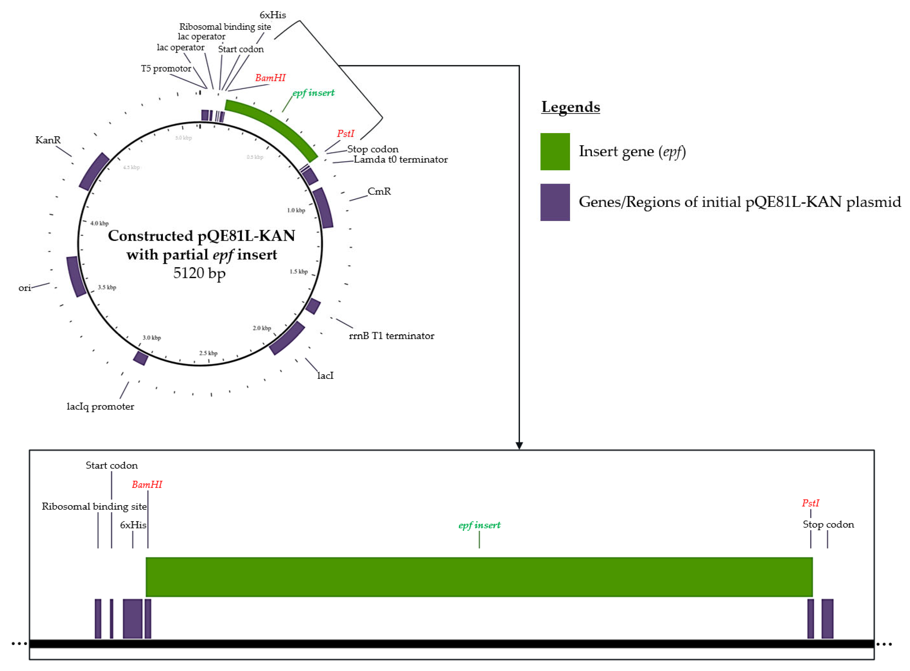 Vaccines 13 01128 g002