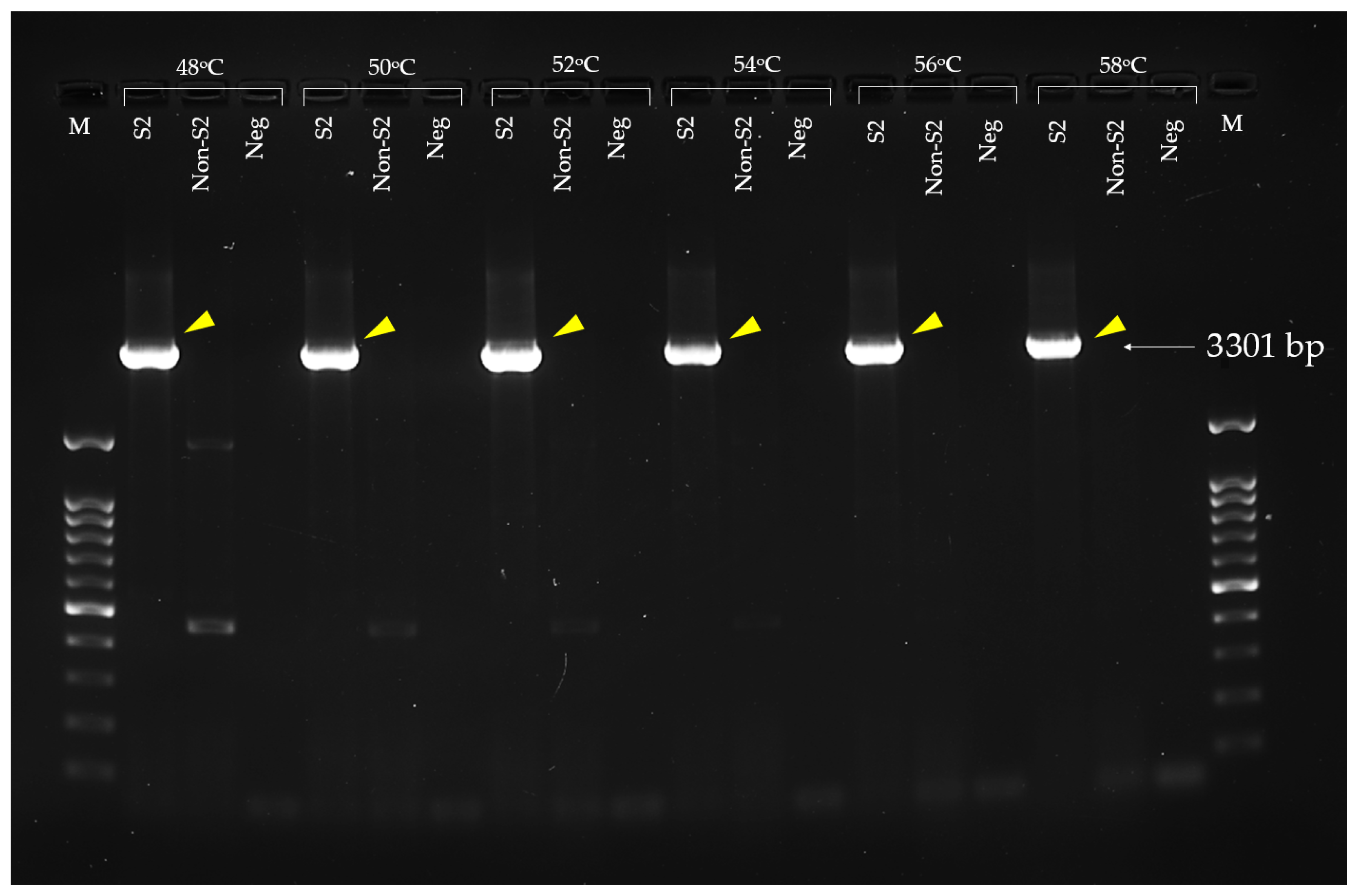 Vaccines 13 01128 g005