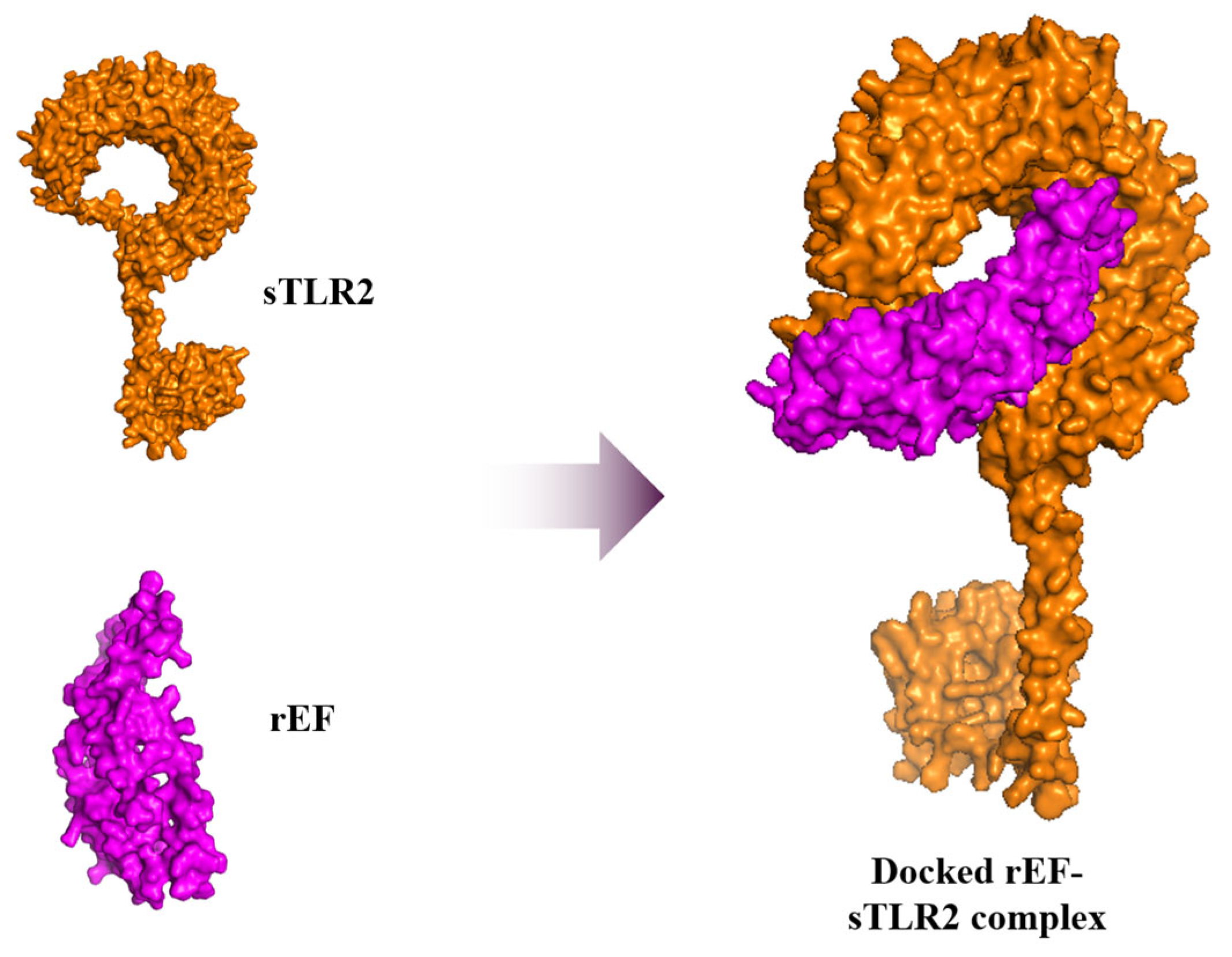 Vaccines 13 01128 g010