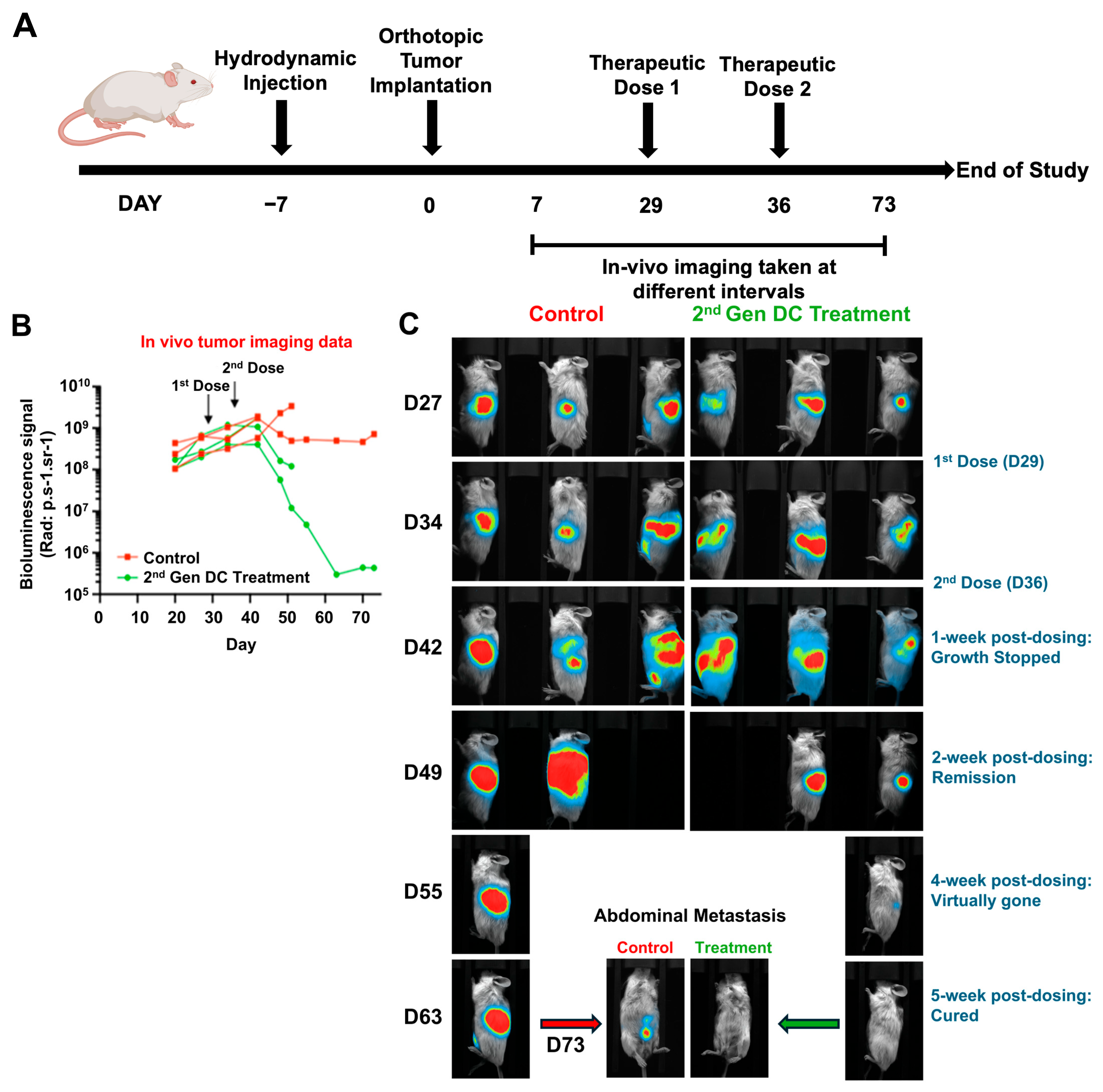Vaccines 13 01131 g004