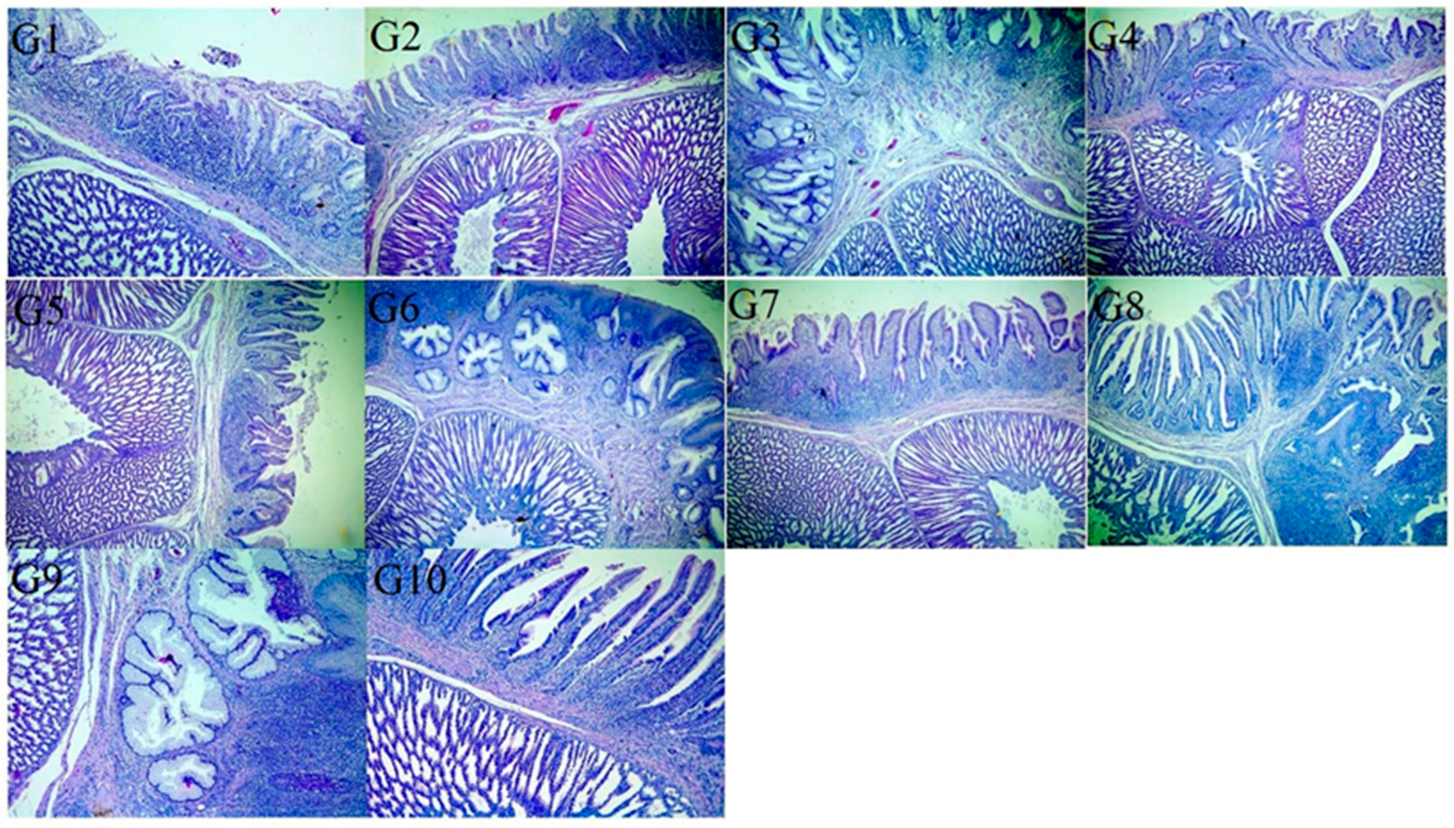 Vaccines 13 01132 g003 Vaccines 13 01132 g003