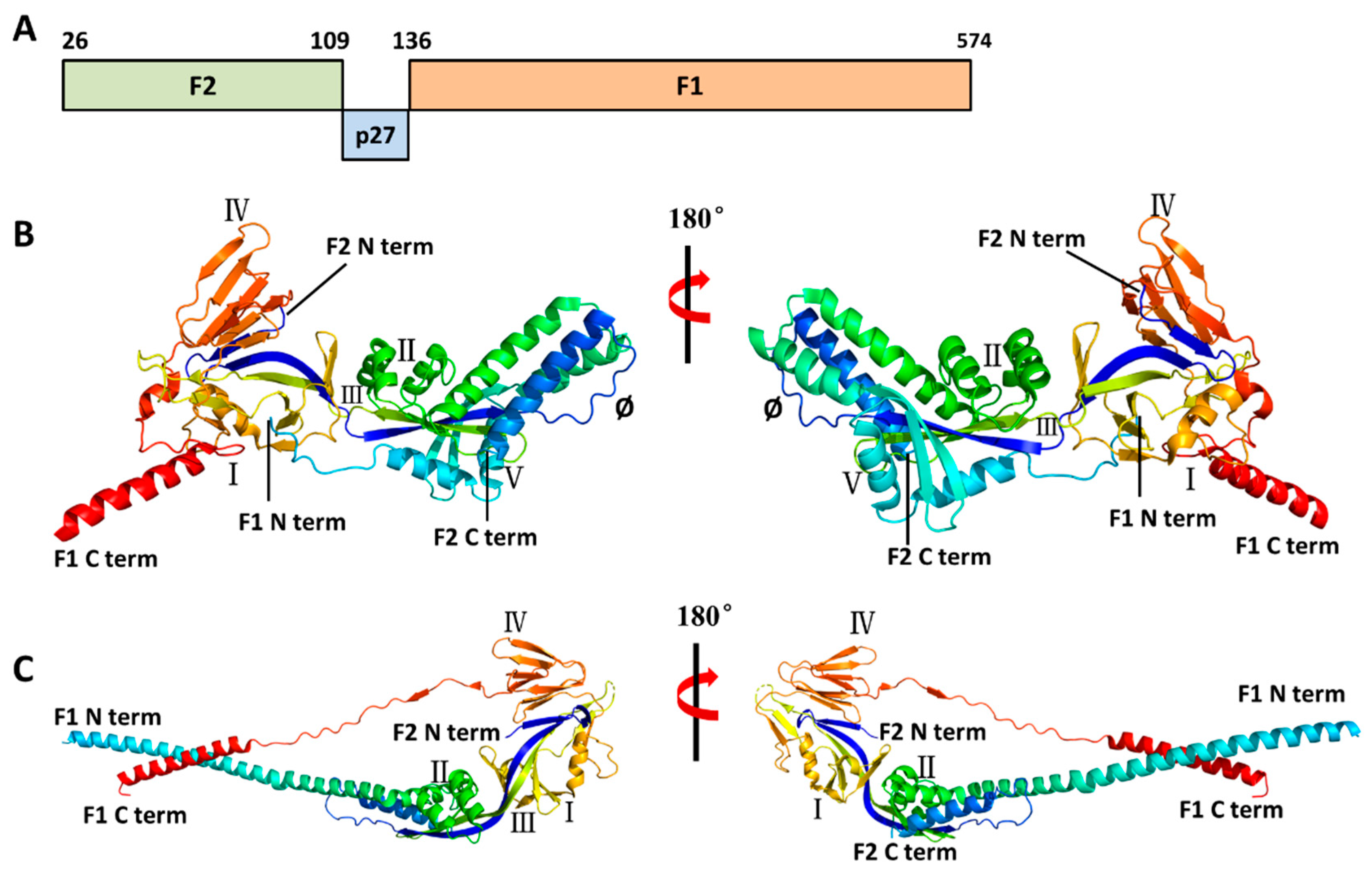 Vaccines 13 01133 g003 Vaccines 13 01133 g003