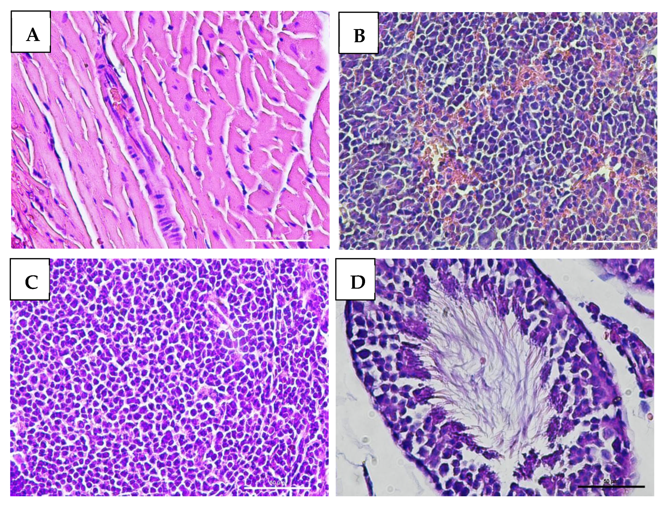 Vaccines 13 01142 g006 Vaccines 13 01142 g006