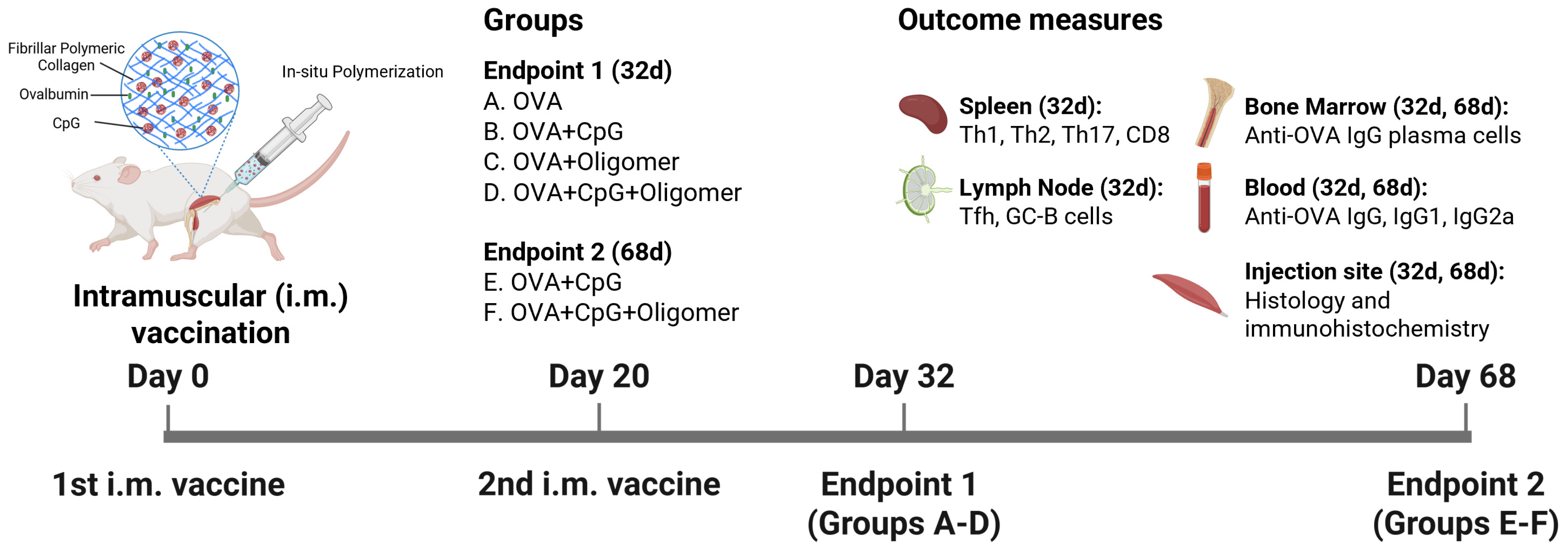 Vaccines 13 01146 g001 Vaccines 13 01146 g001