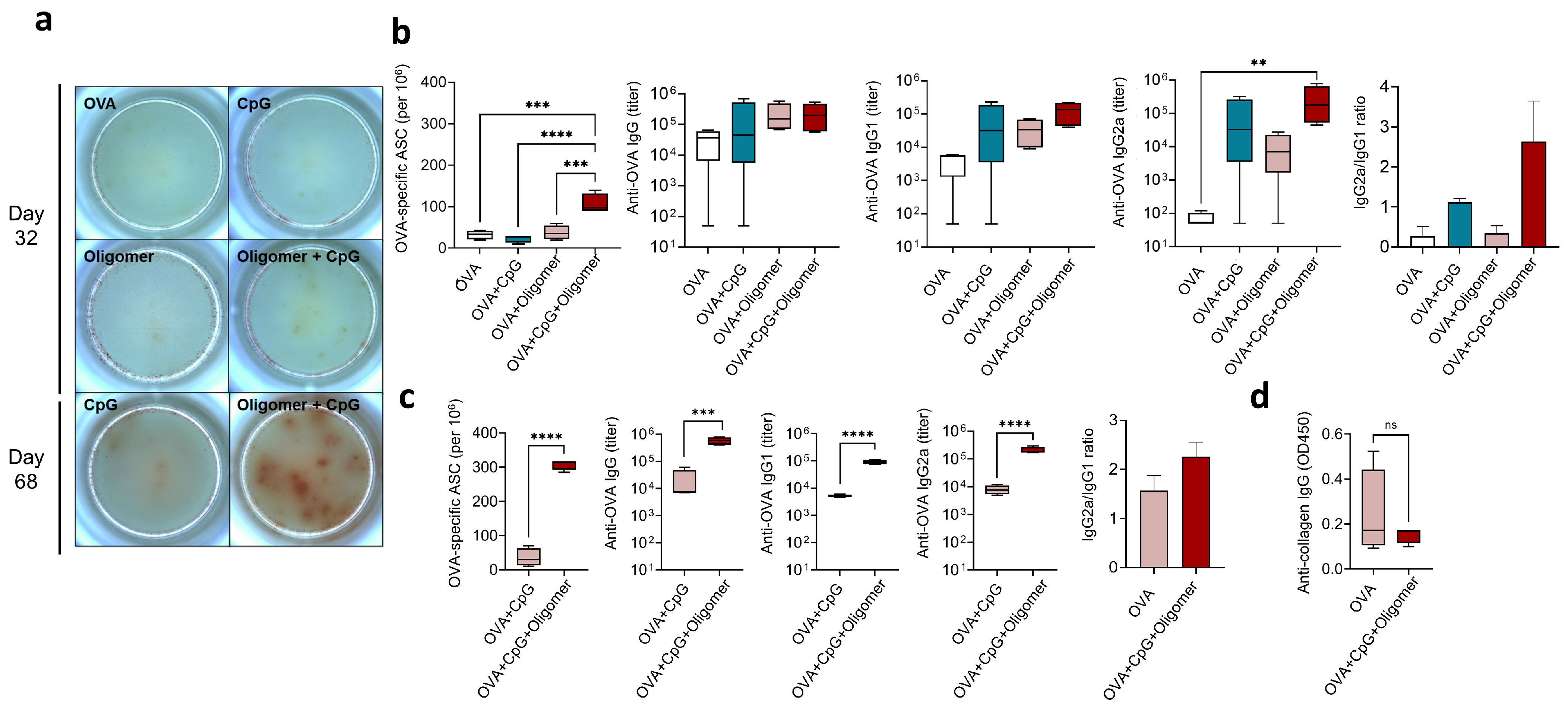 Vaccines 13 01146 g004 Vaccines 13 01146 g004