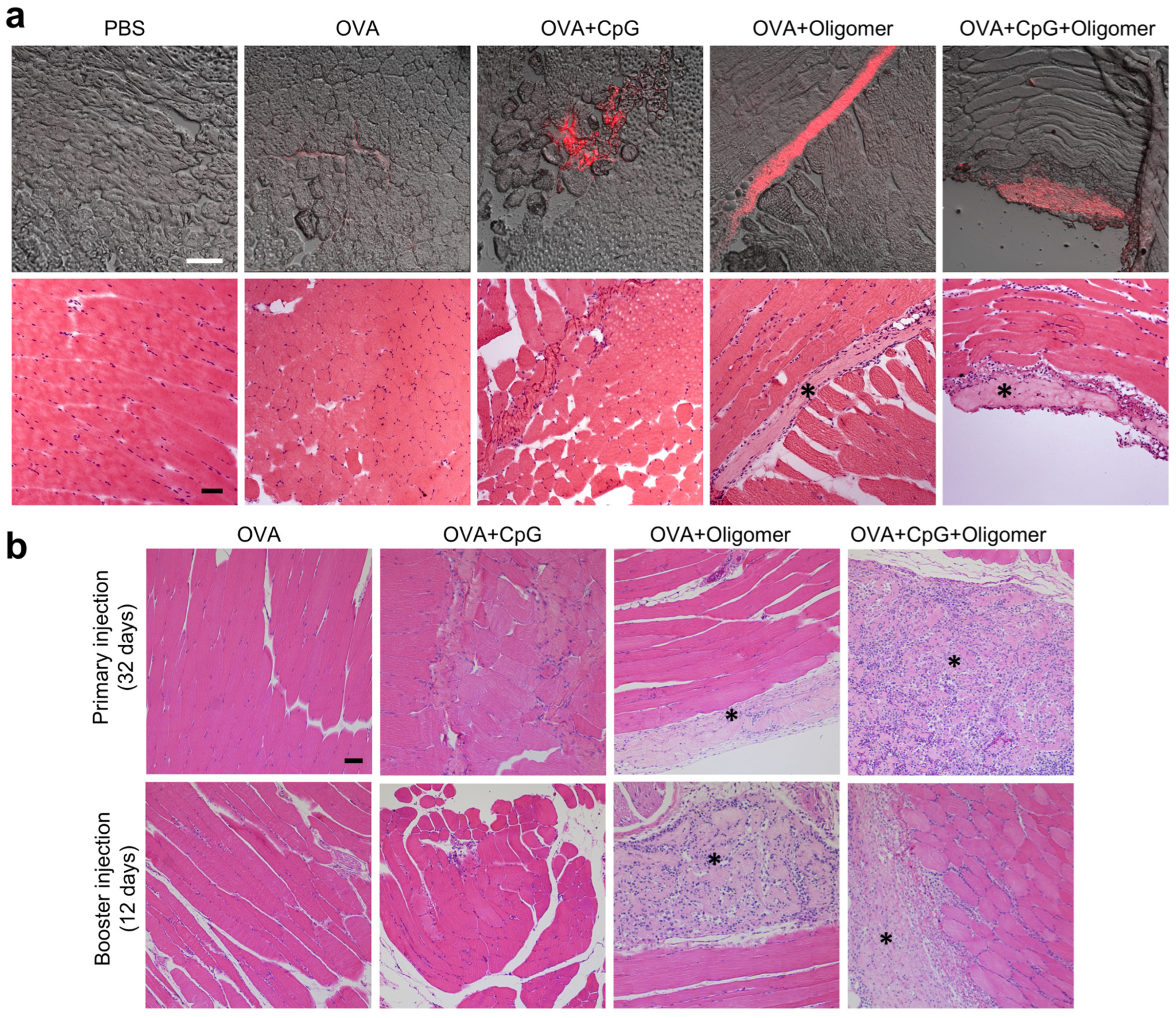 Vaccines 13 01146 g006 Vaccines 13 01146 g006