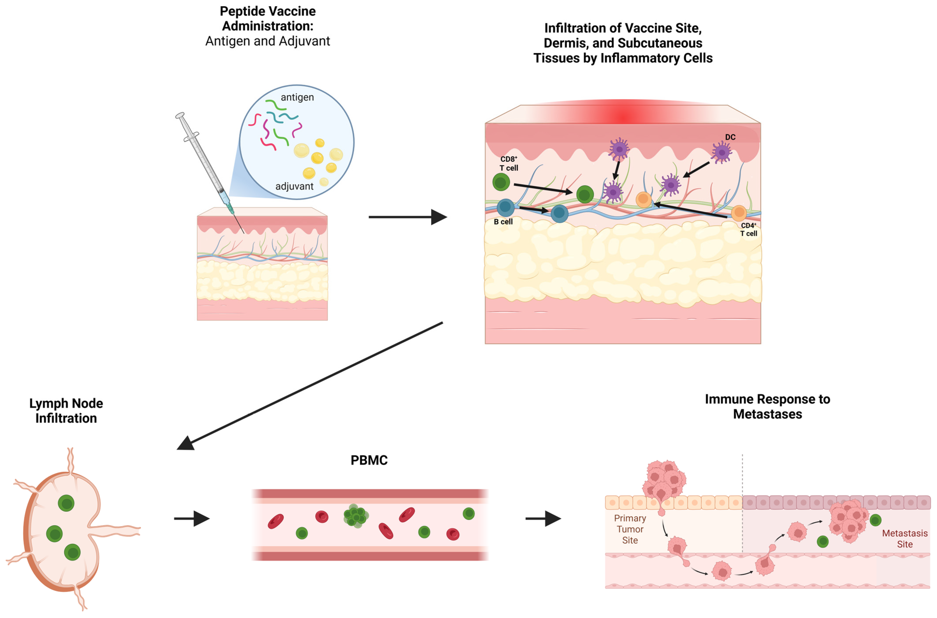 Vaccines 13 01150 g001 Vaccines 13 01150 g001