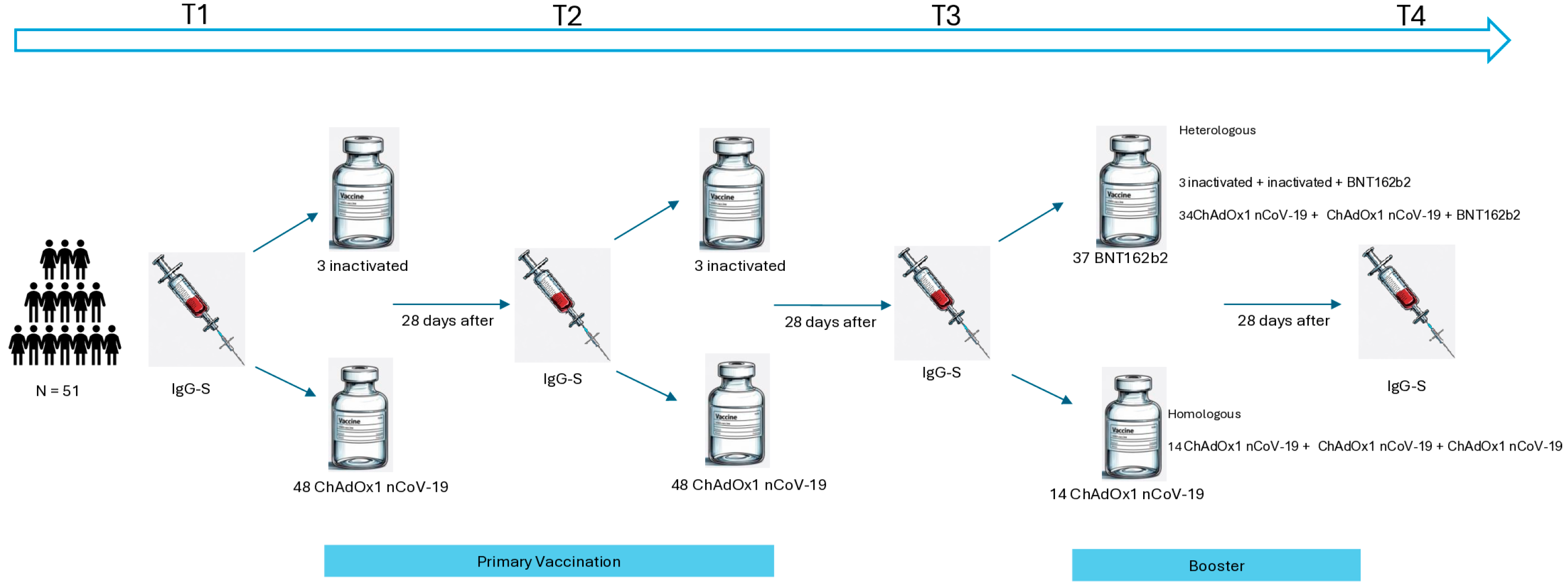 Vaccines 13 01152 g002