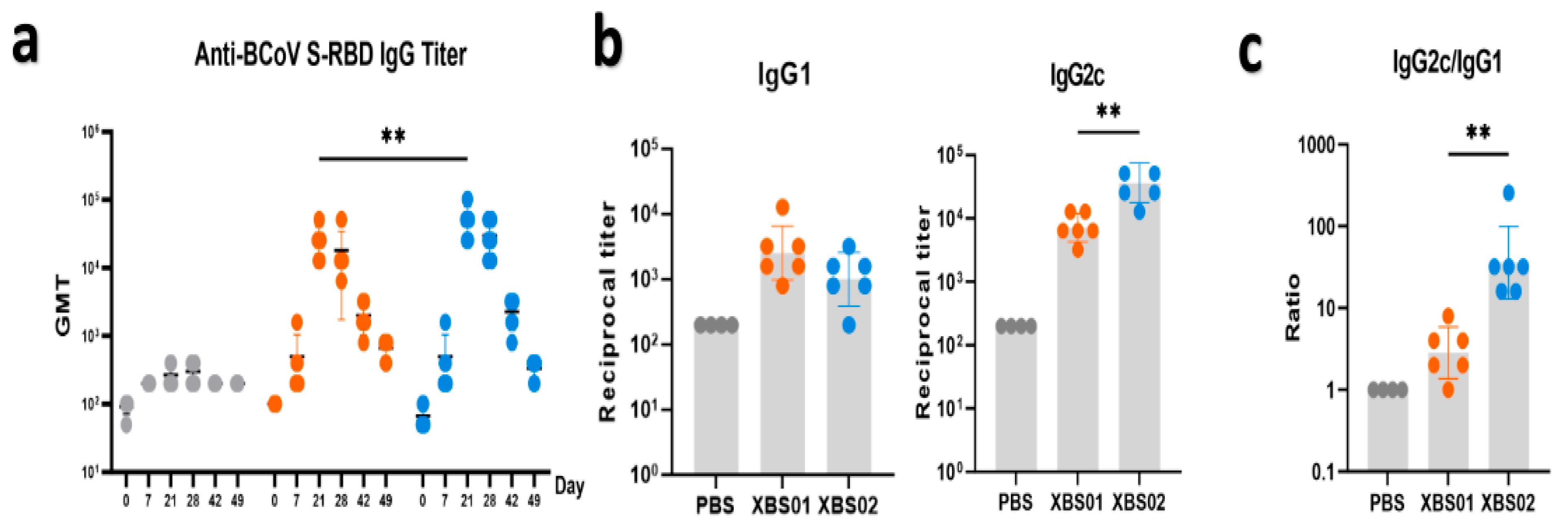Vaccines 13 01155 g003 Vaccines 13 01155 g003