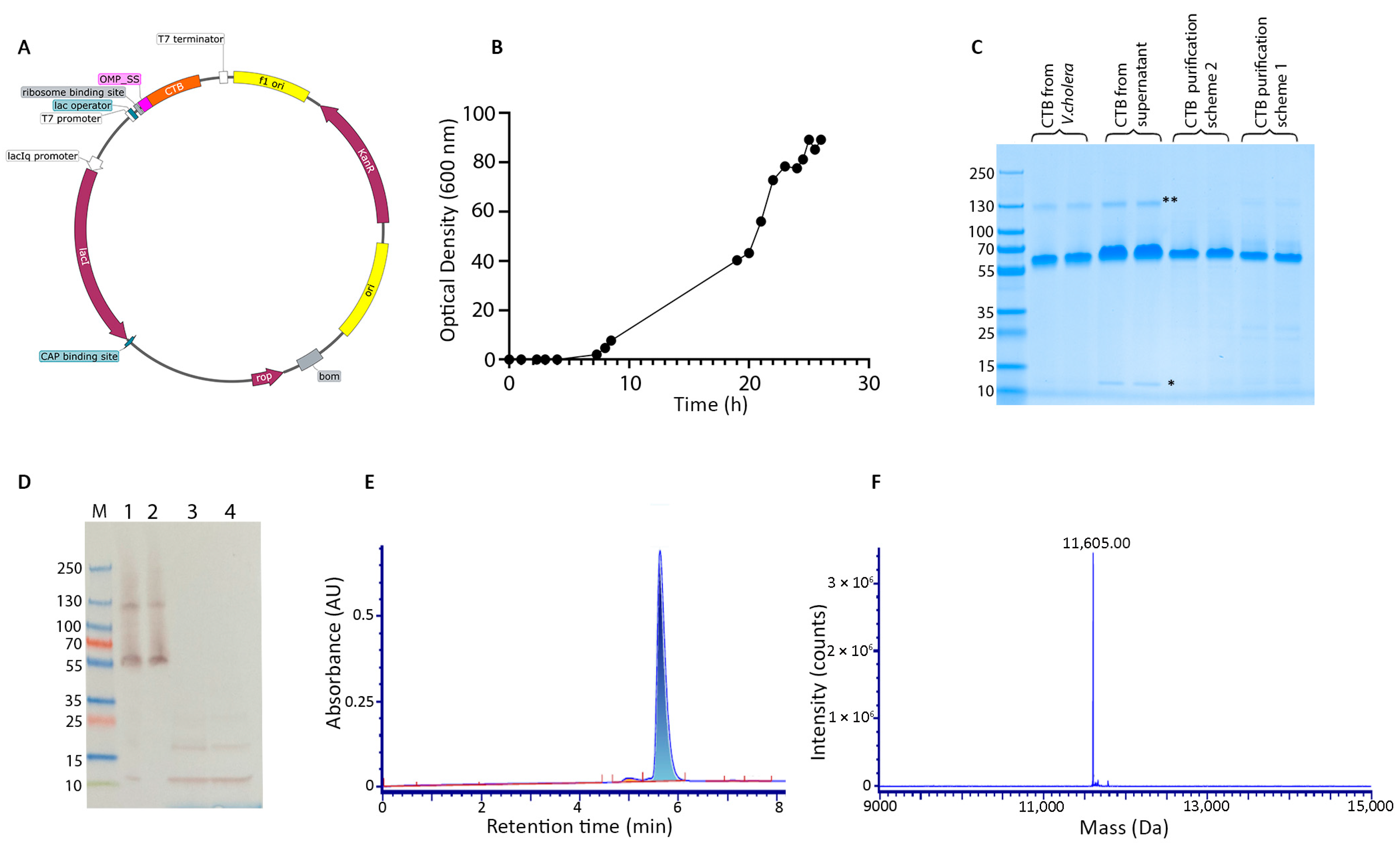 Vaccines 13 01159 g001