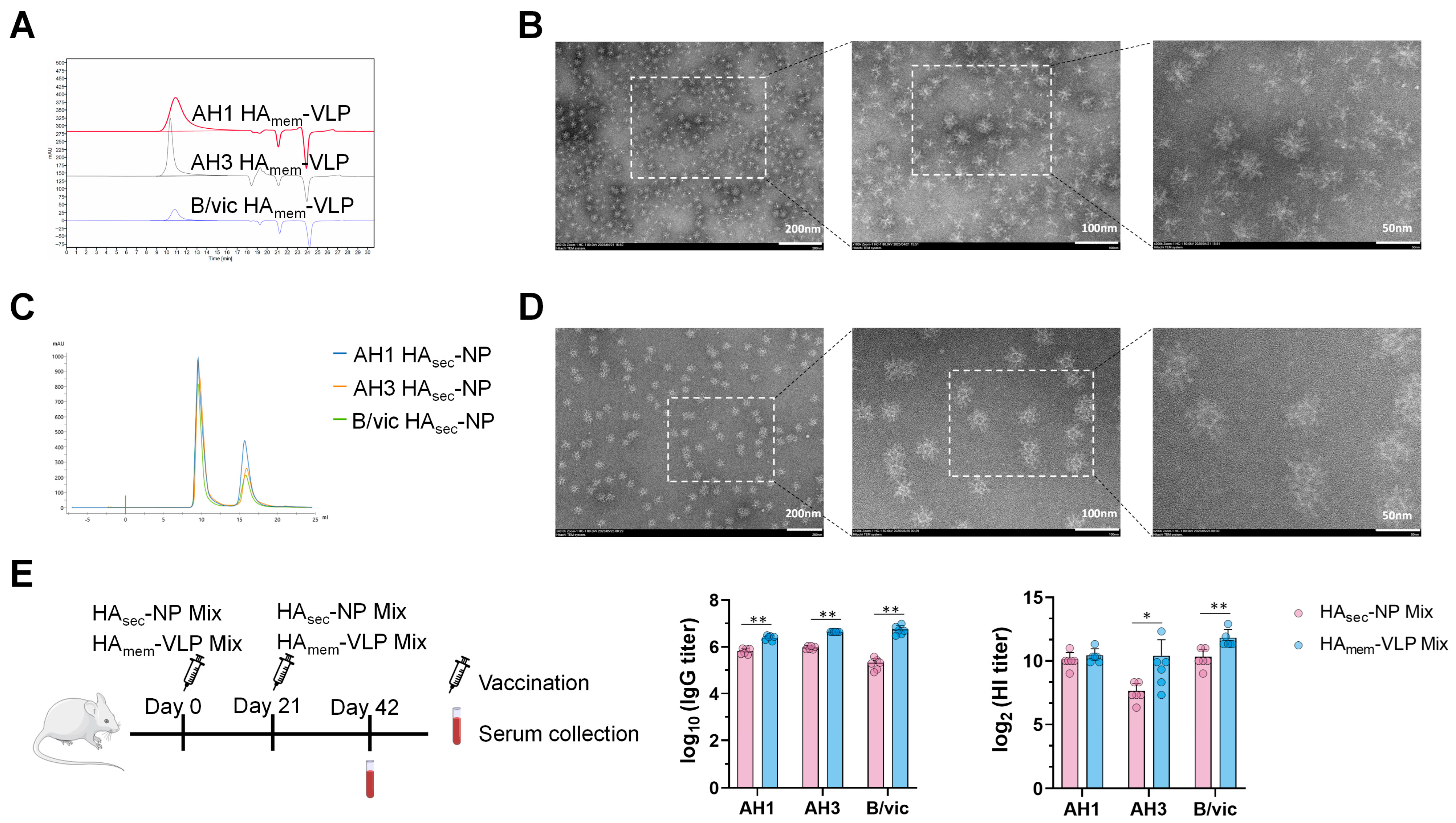 Vaccines 13 01162 g001